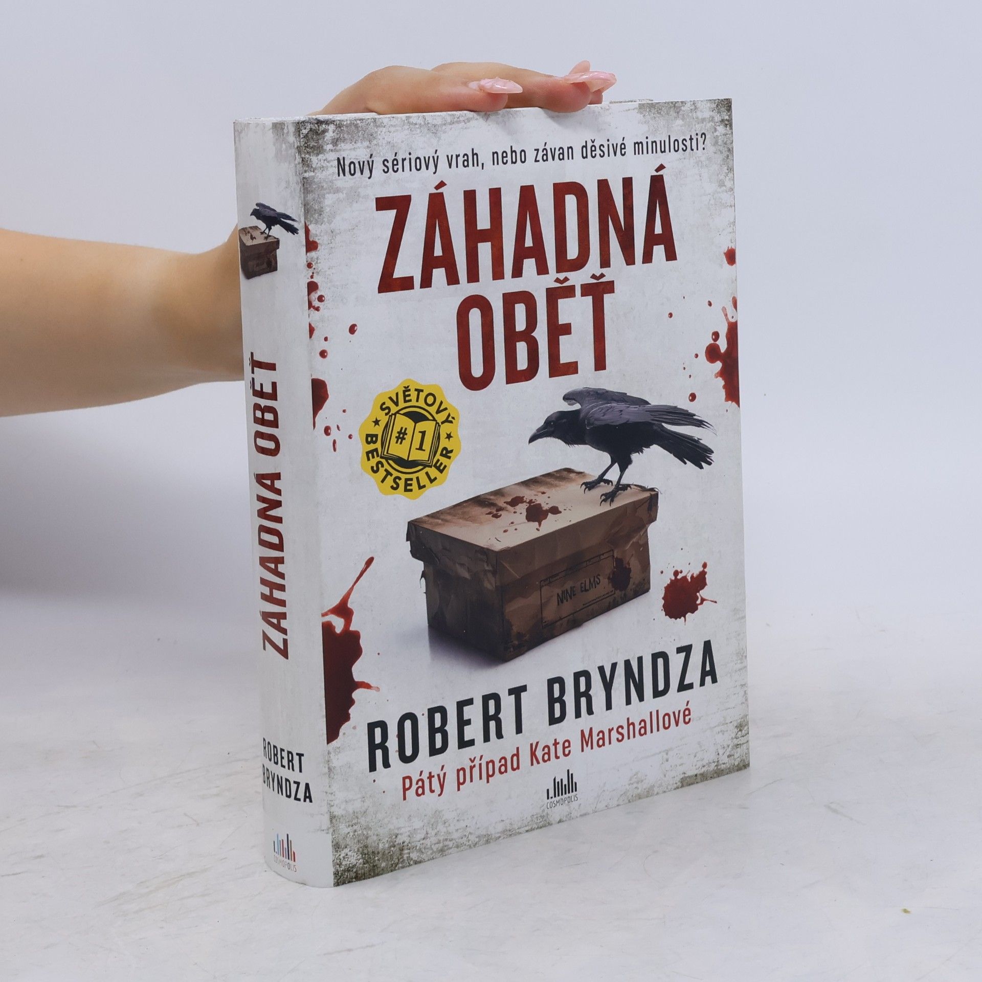 Robert Bryndza Záhadná oběť