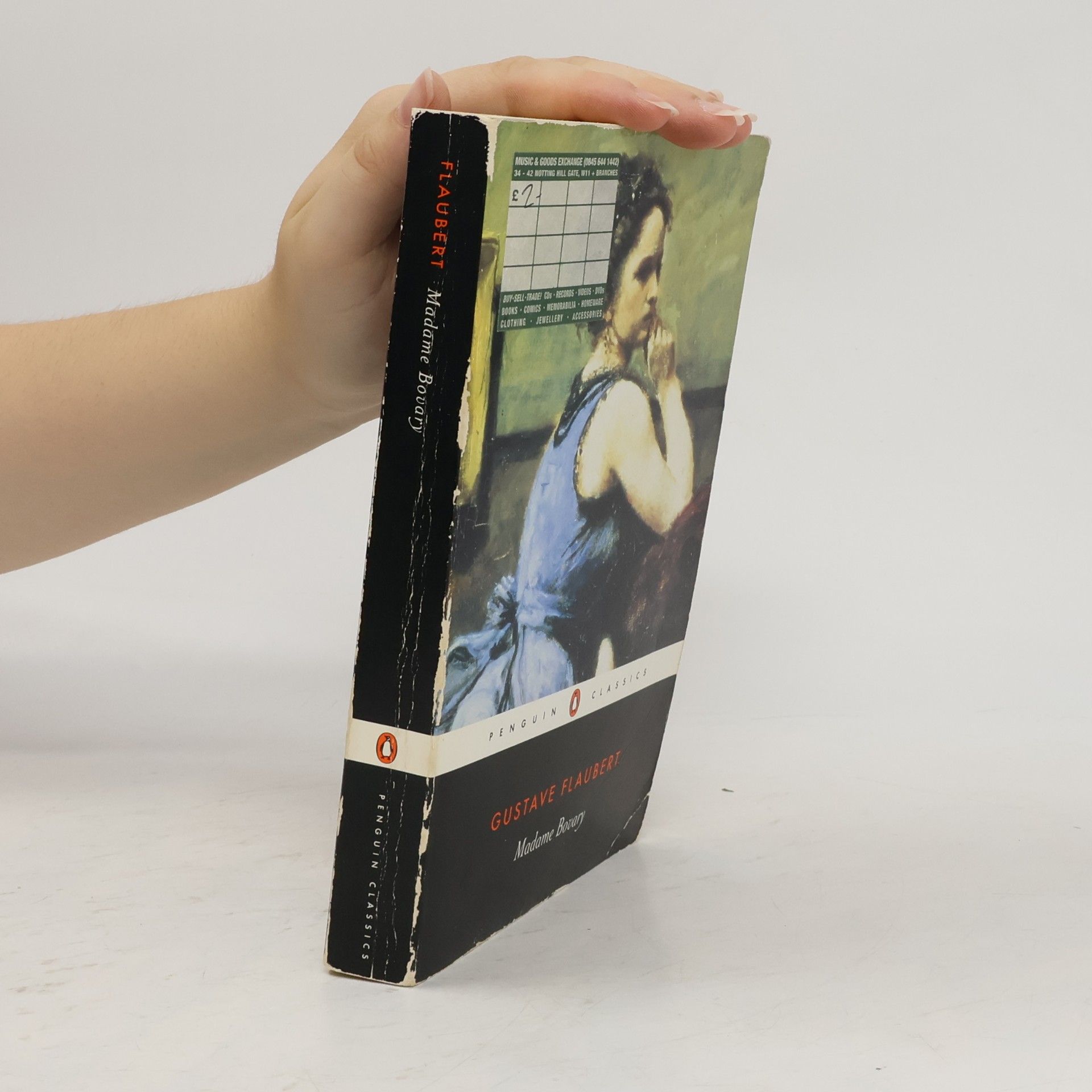 Gustave Flaubert Madame Bovary : provincial lives