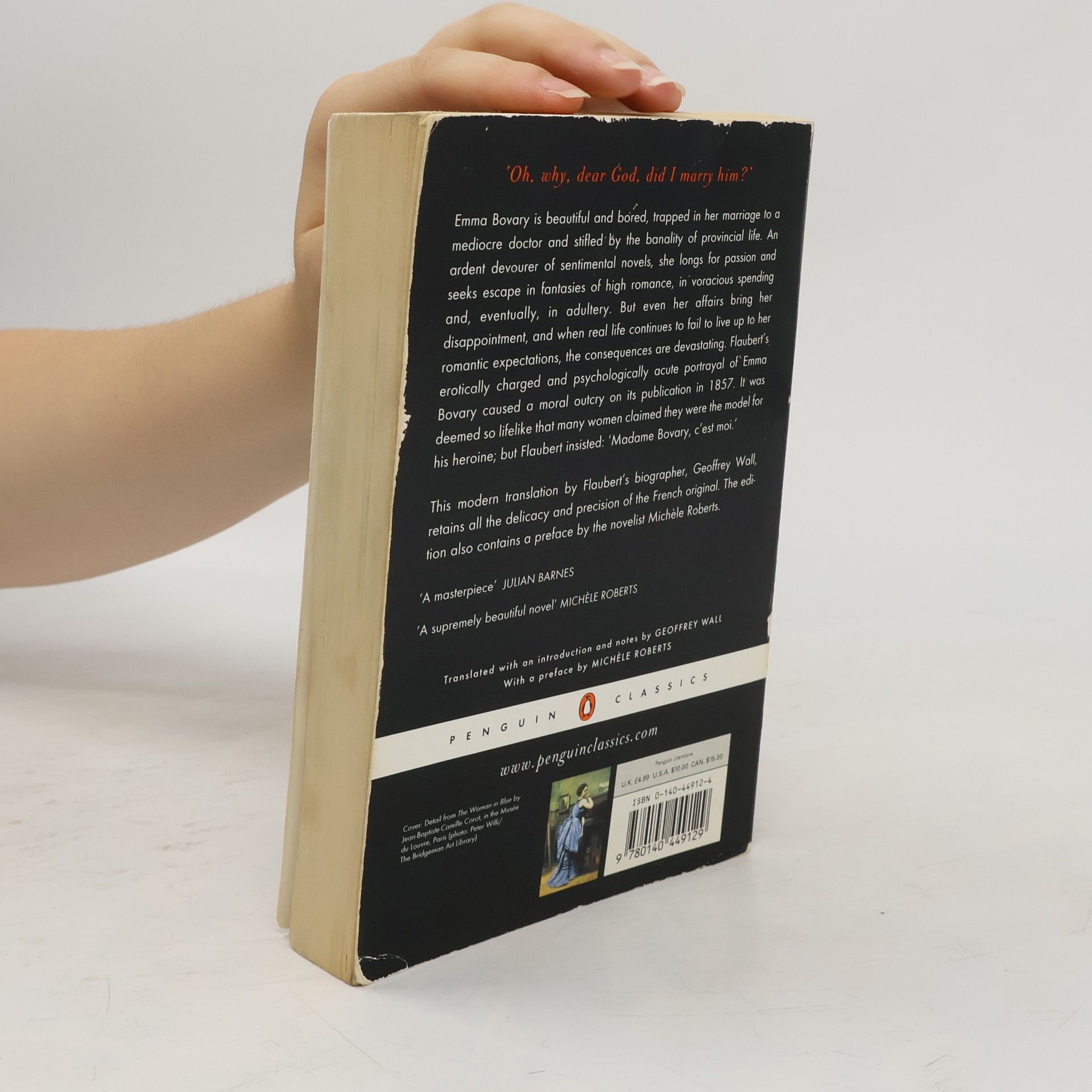 Autores varios Madame Bovary : provincial lives