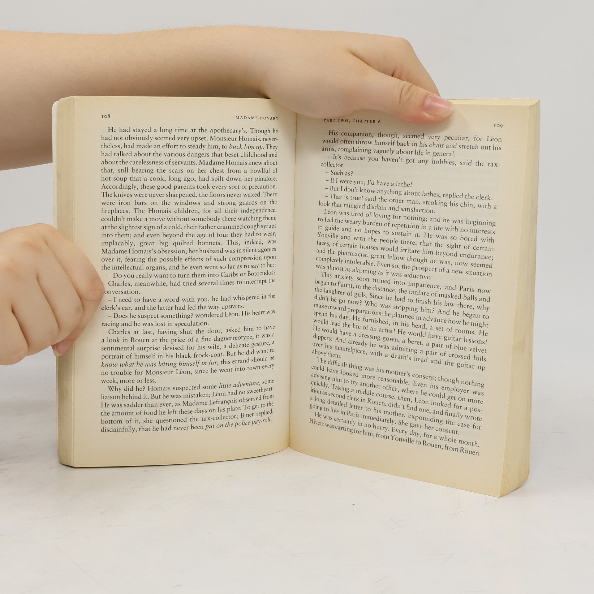 Autores varios Madame Bovary : provincial lives