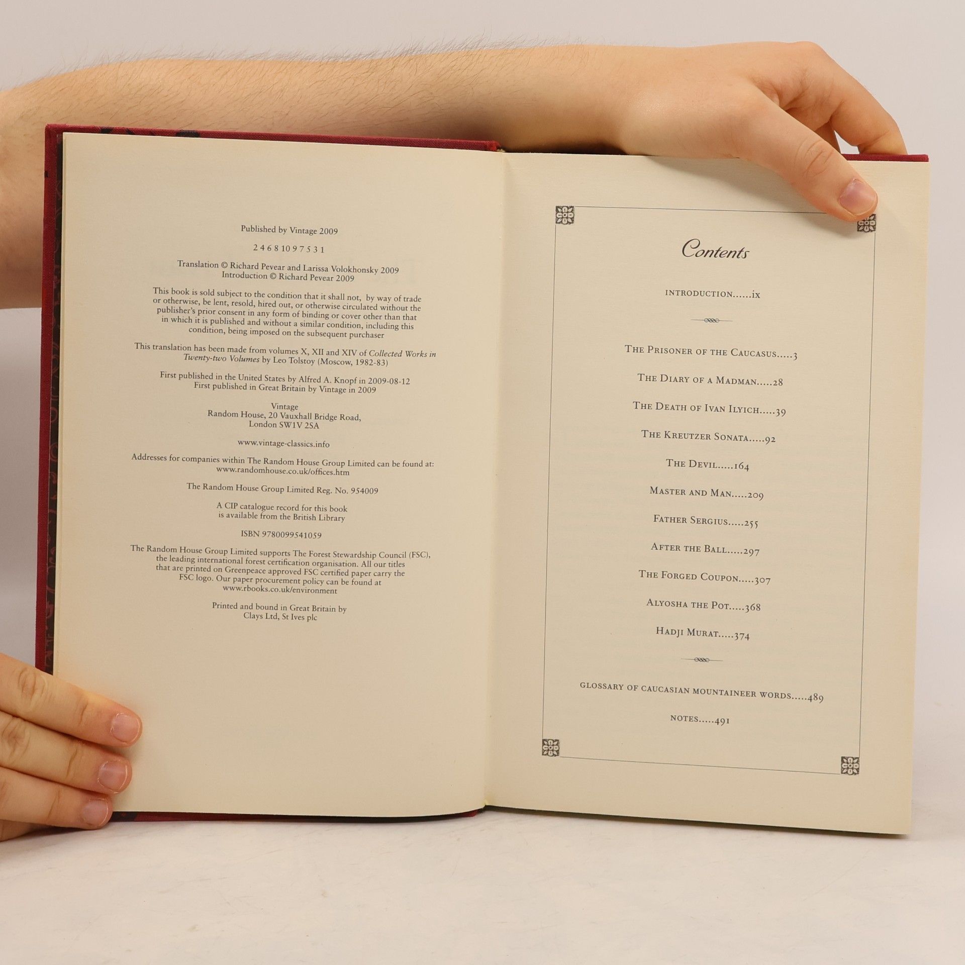 Lew Nikolajewitsch Tolstoi Vintage Classics: The Death of Ivan Ilyich and Other Stories