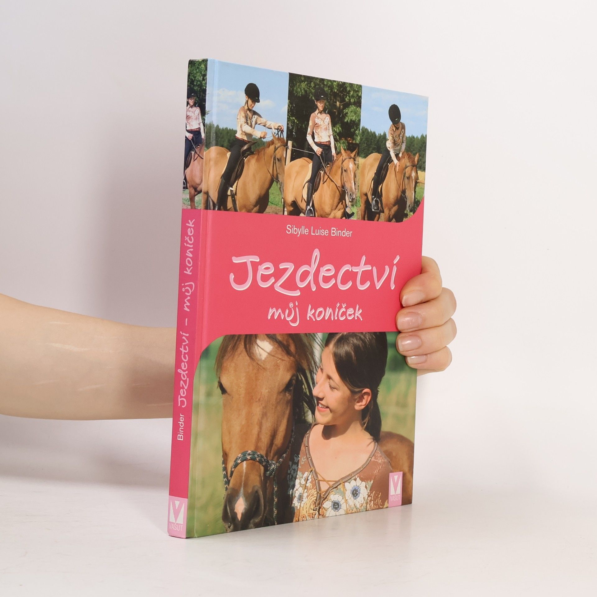 Jezdectví, můj koníček
