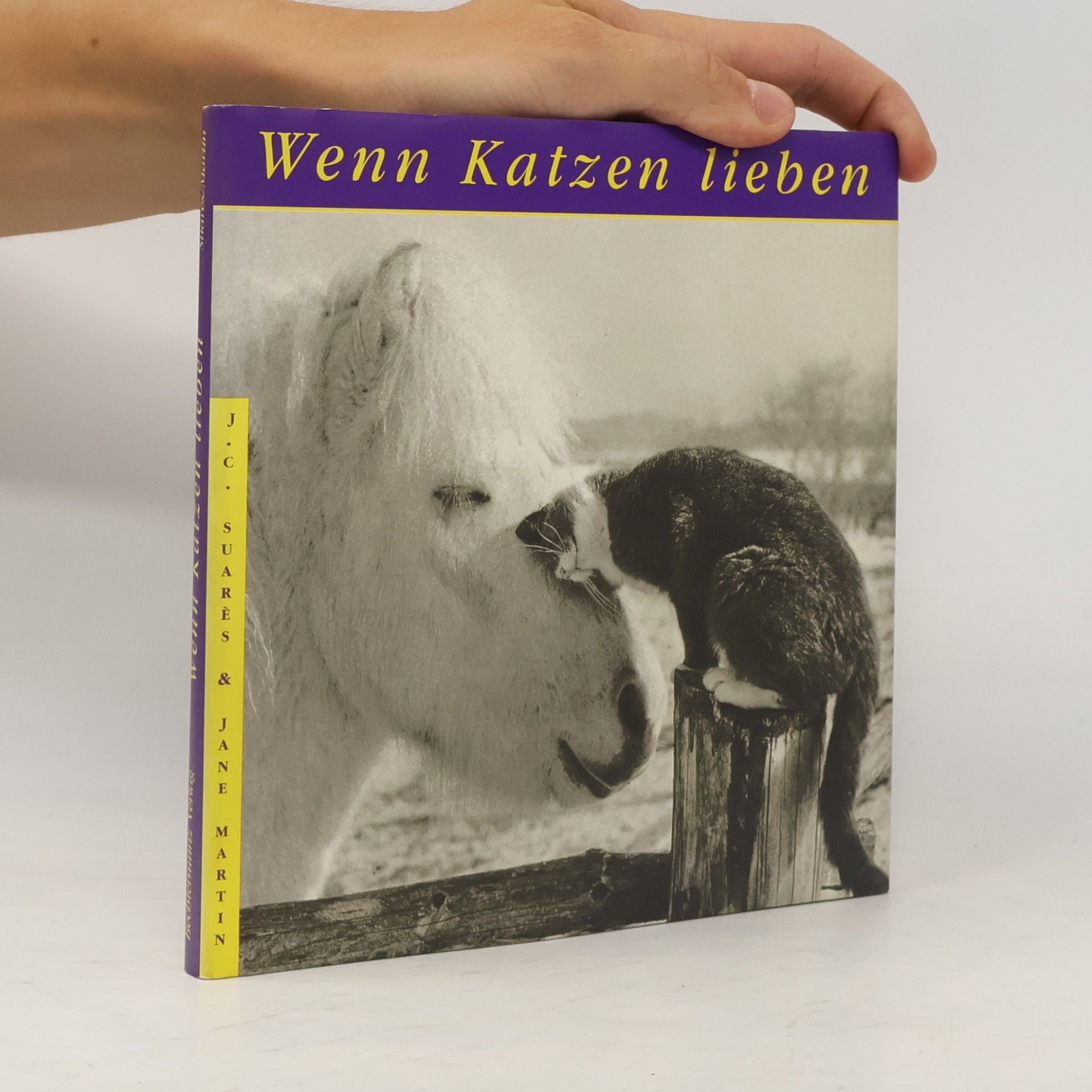 J. C. Suares Wenn Katzen lieben