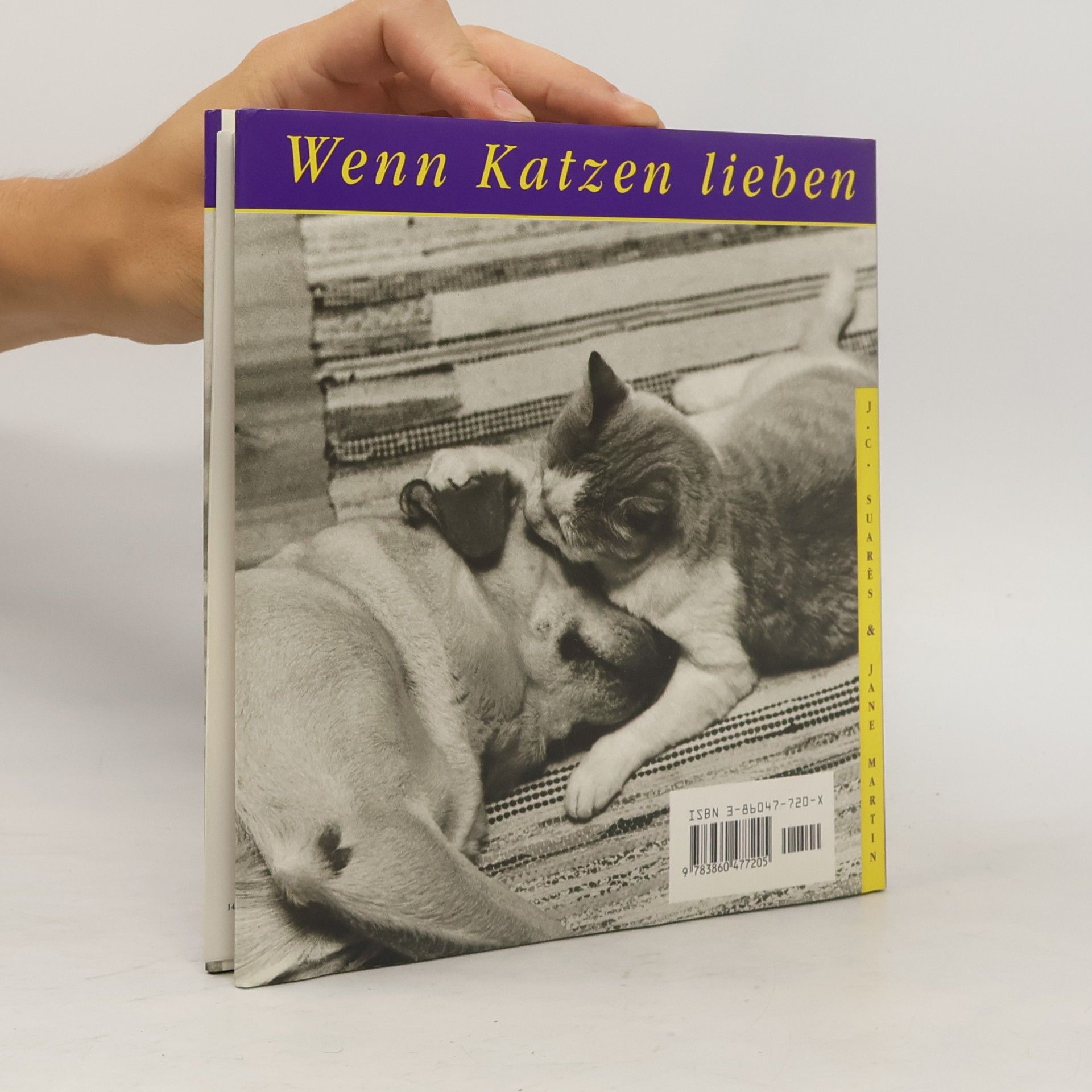 Jane Martin Wenn Katzen lieben