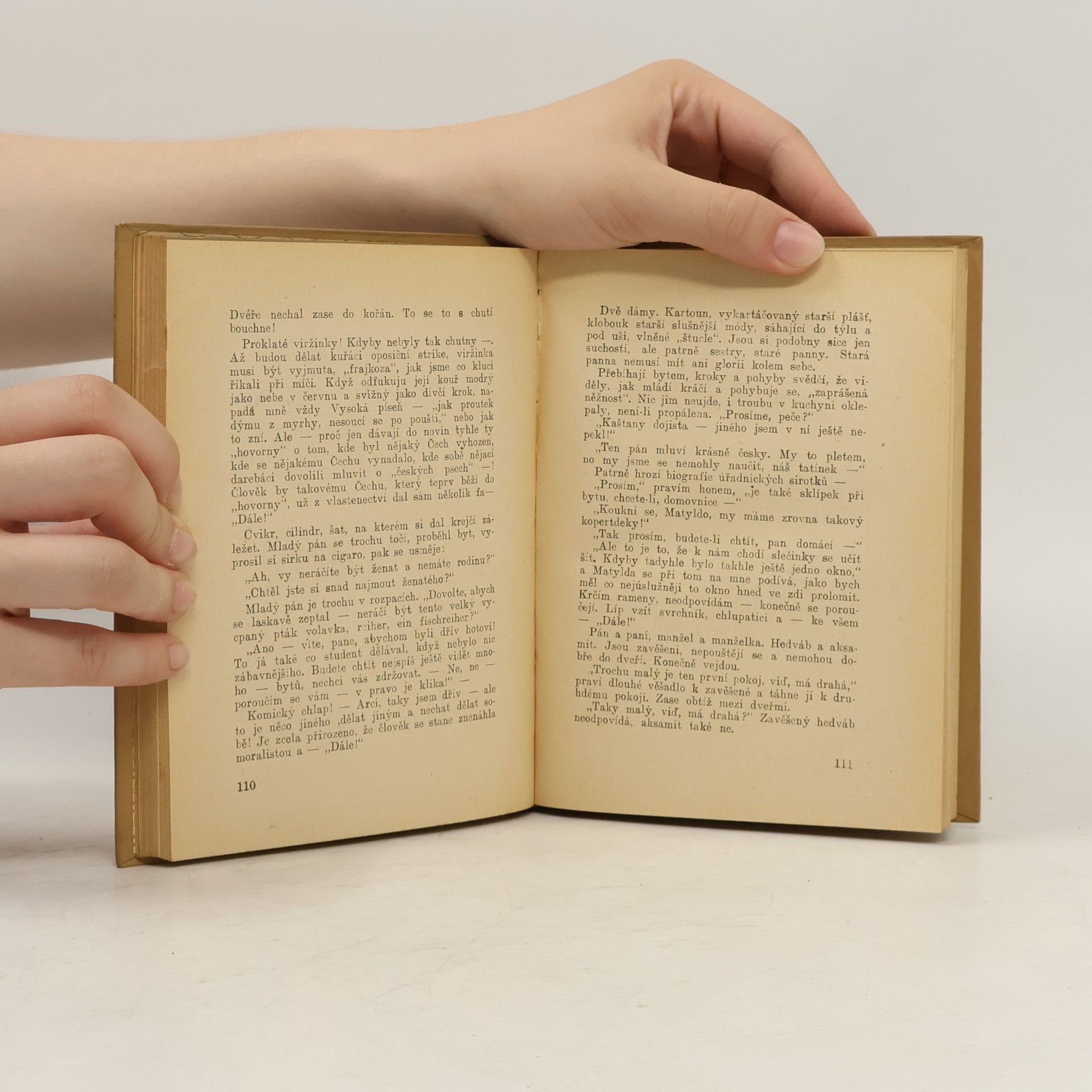 Jan Neruda Studie krátké a kratší