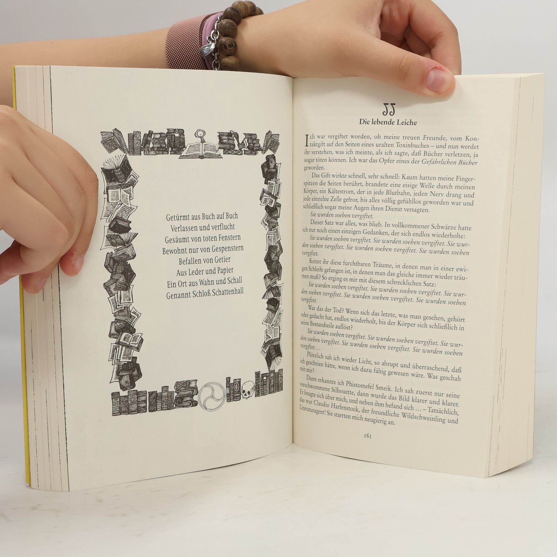 Walter Moers Die Stadt der träumenden Bücher