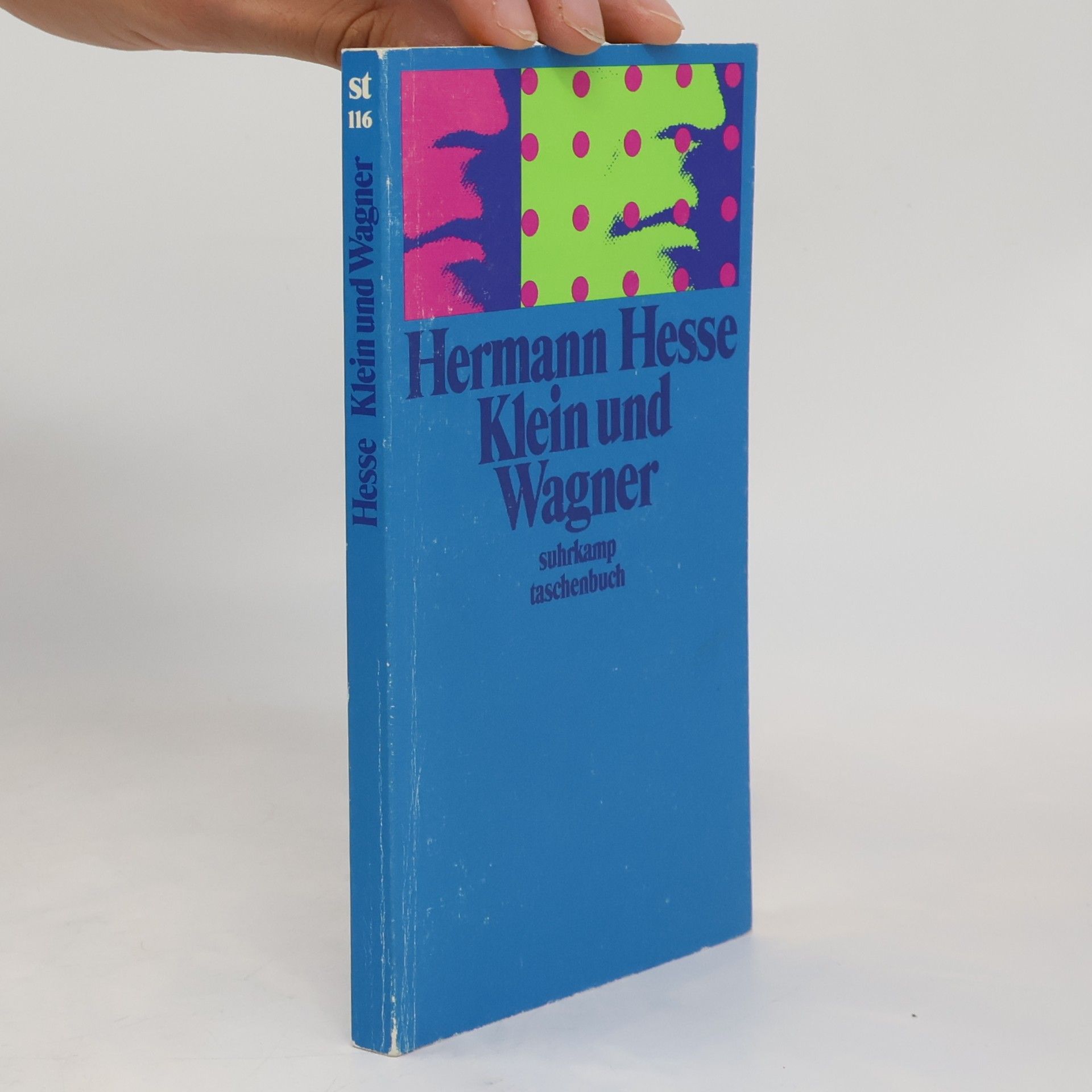 Hermann Hesse Klein und Wagner