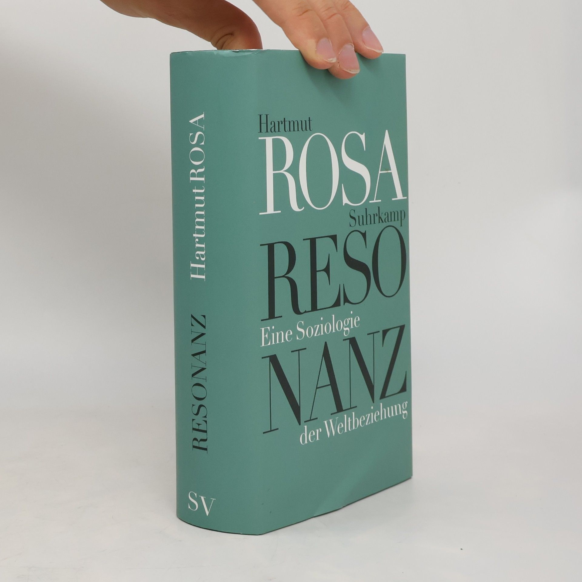 Hartmut Rosa Resonanz