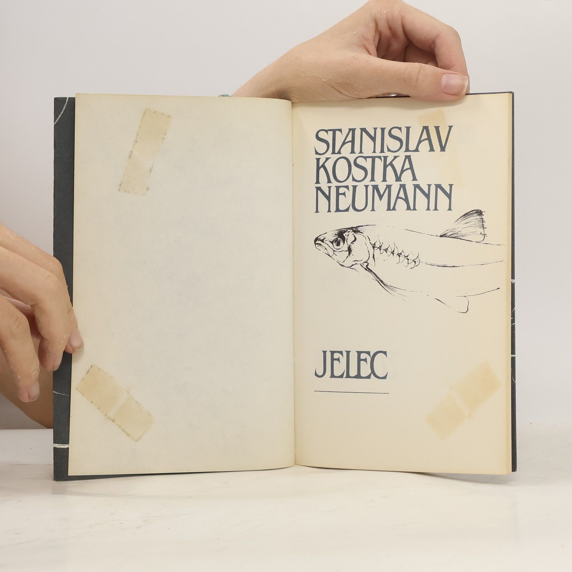 Stanislav Kostka Neumann Jelec