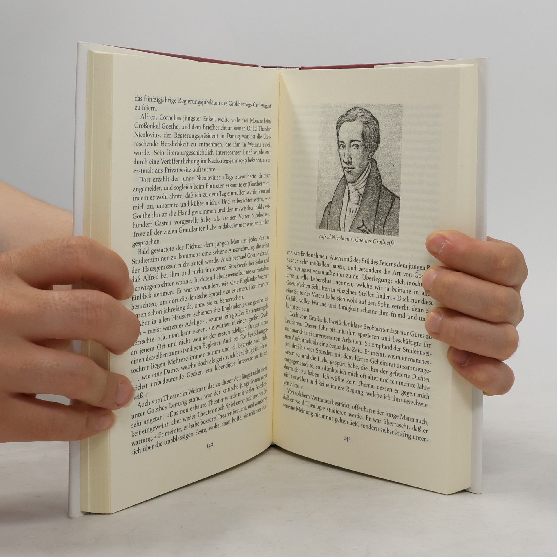 Walter Weisbecker Goethe zwischen Frankfurt und Weimar