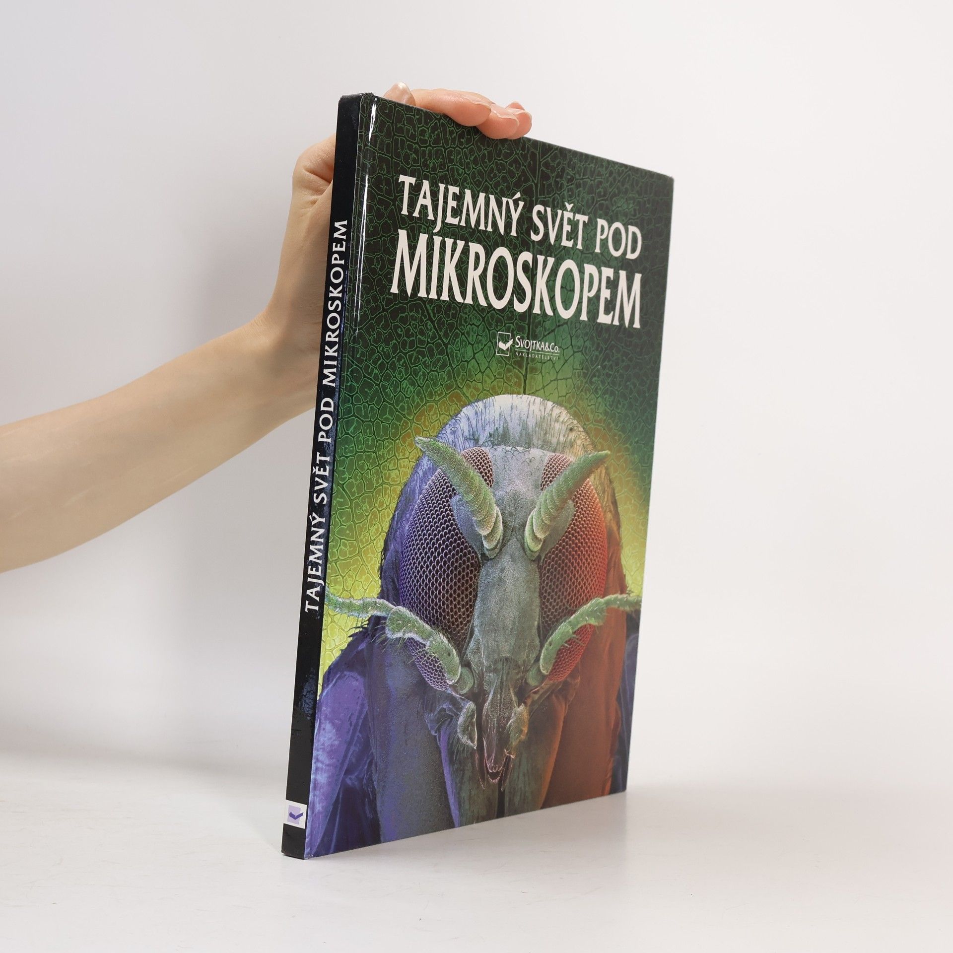 Kirsteen Rogers Tajemný svět pod mikroskopem