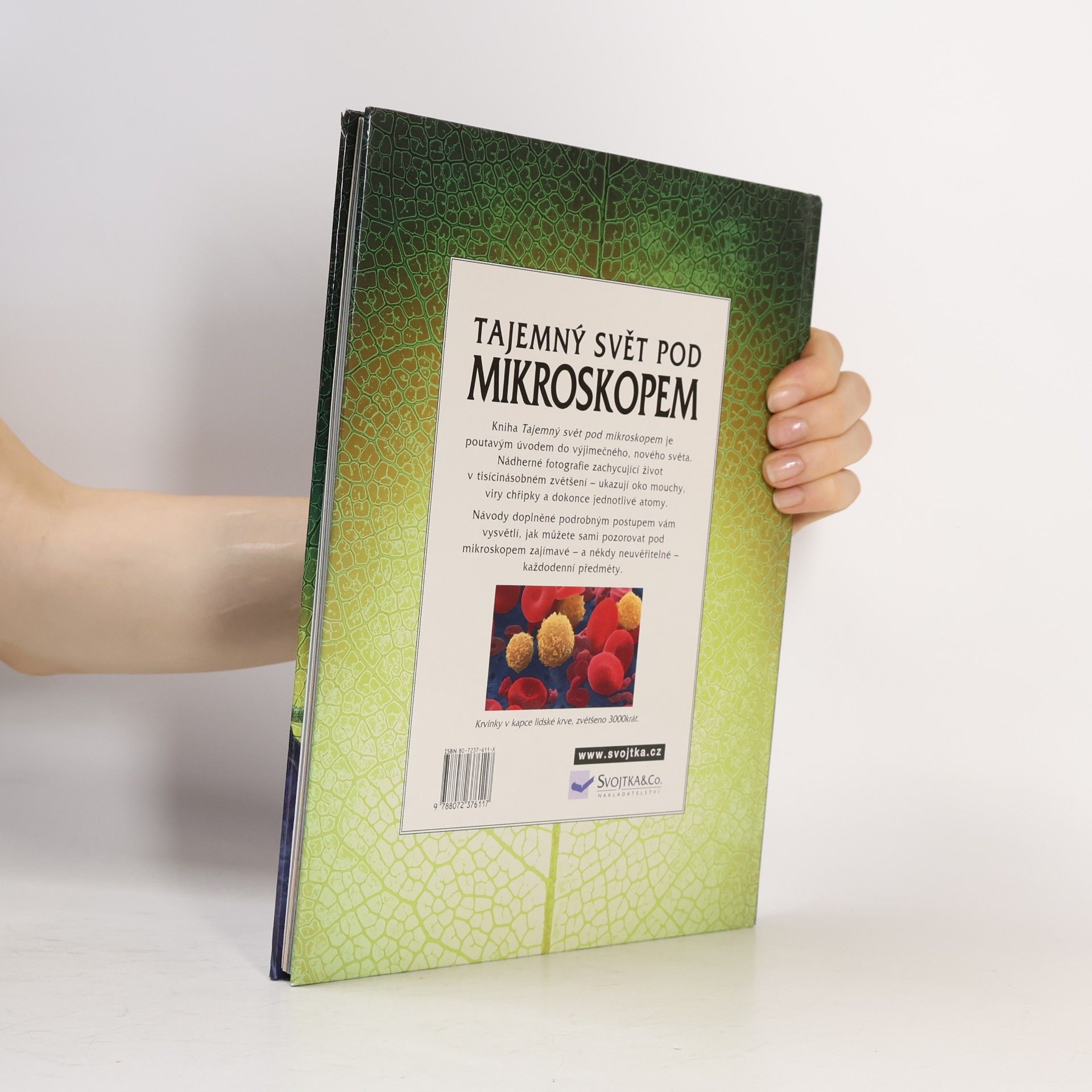 Kirsteen Rogers Tajemný svět pod mikroskopem