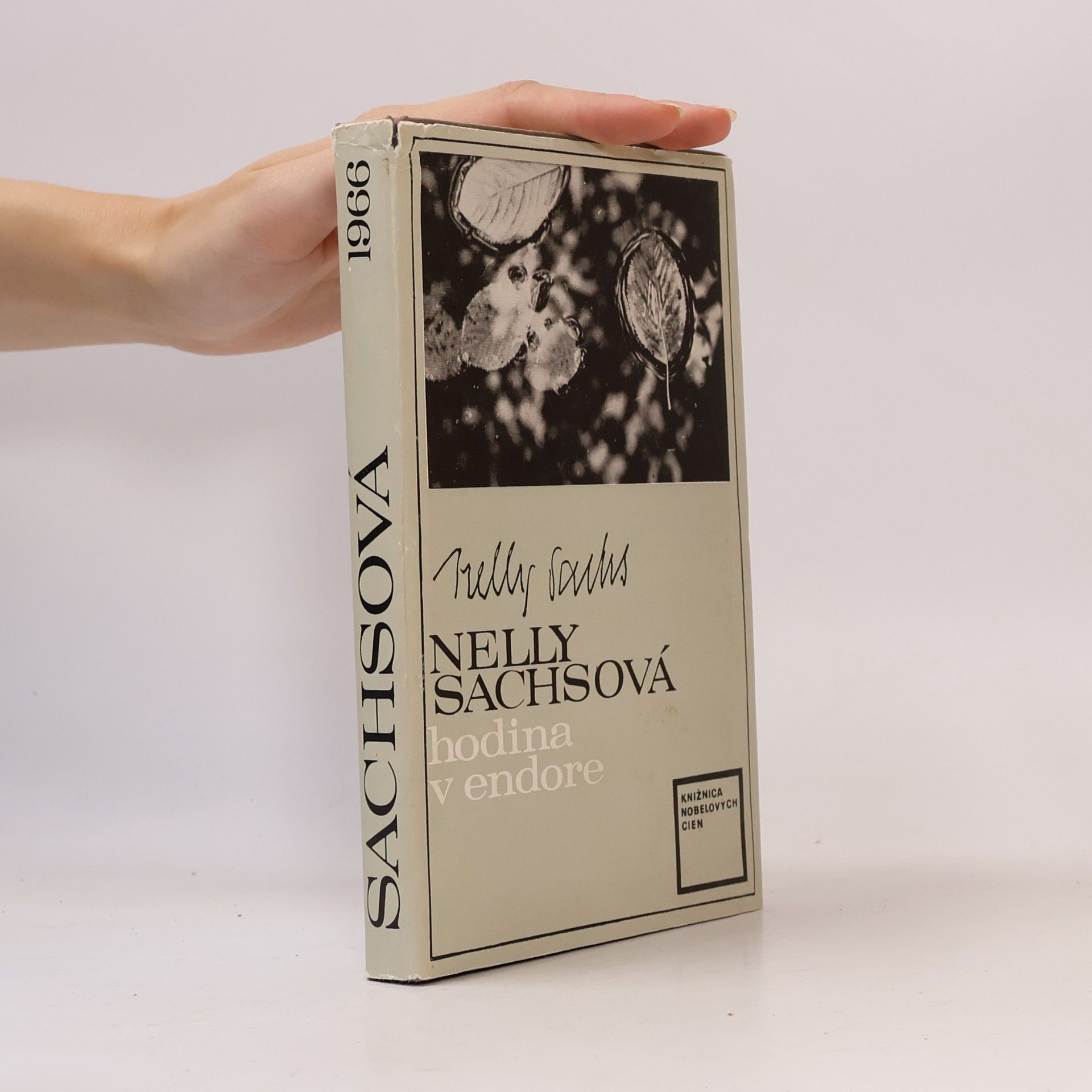 Nelly Sachs Hodina v endore