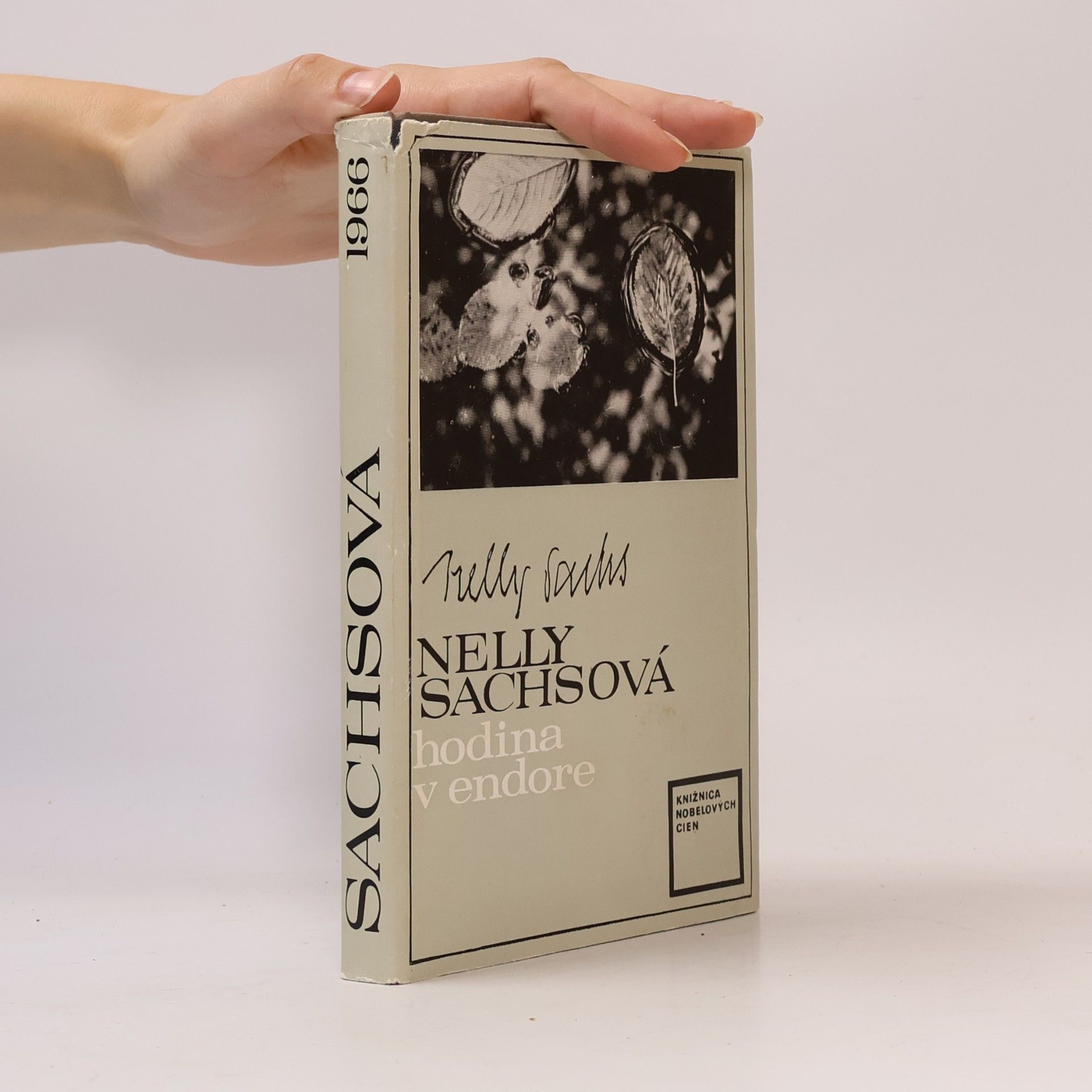 Nelly Sachs Hodina v endore