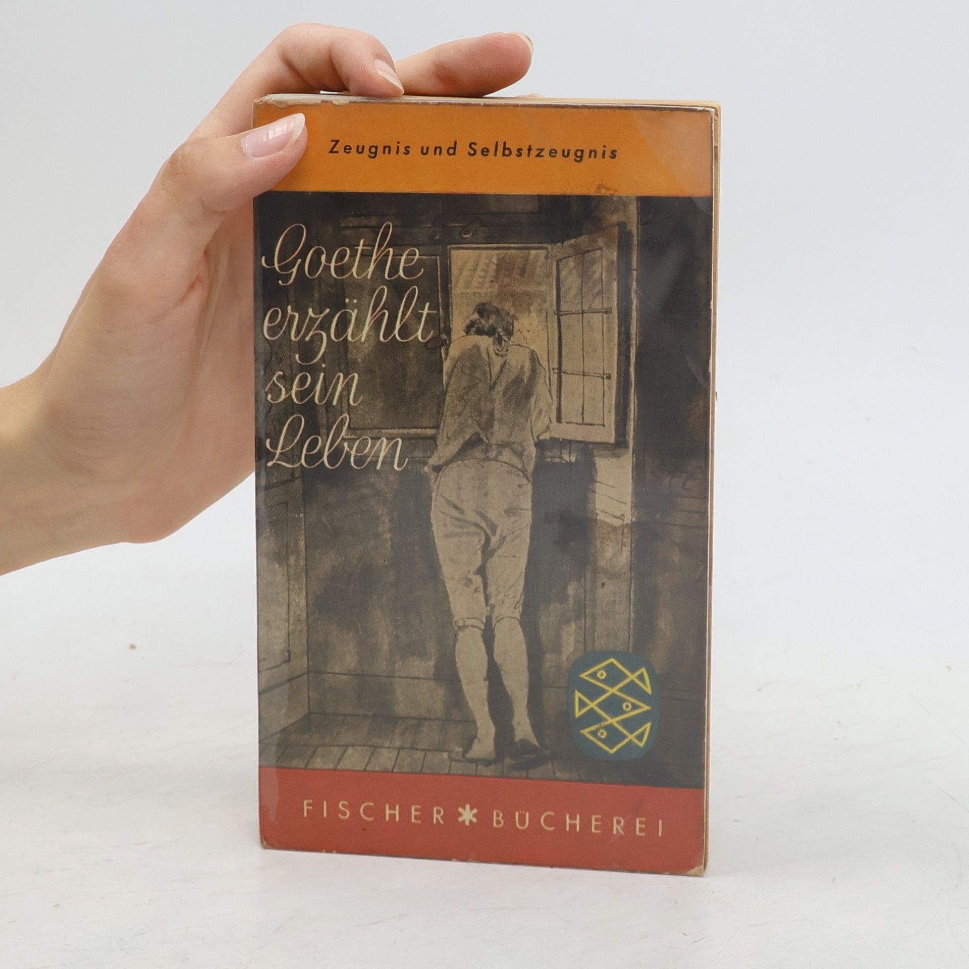 Johann Wolfgang von Goethe Goethe erzählt sein Leben