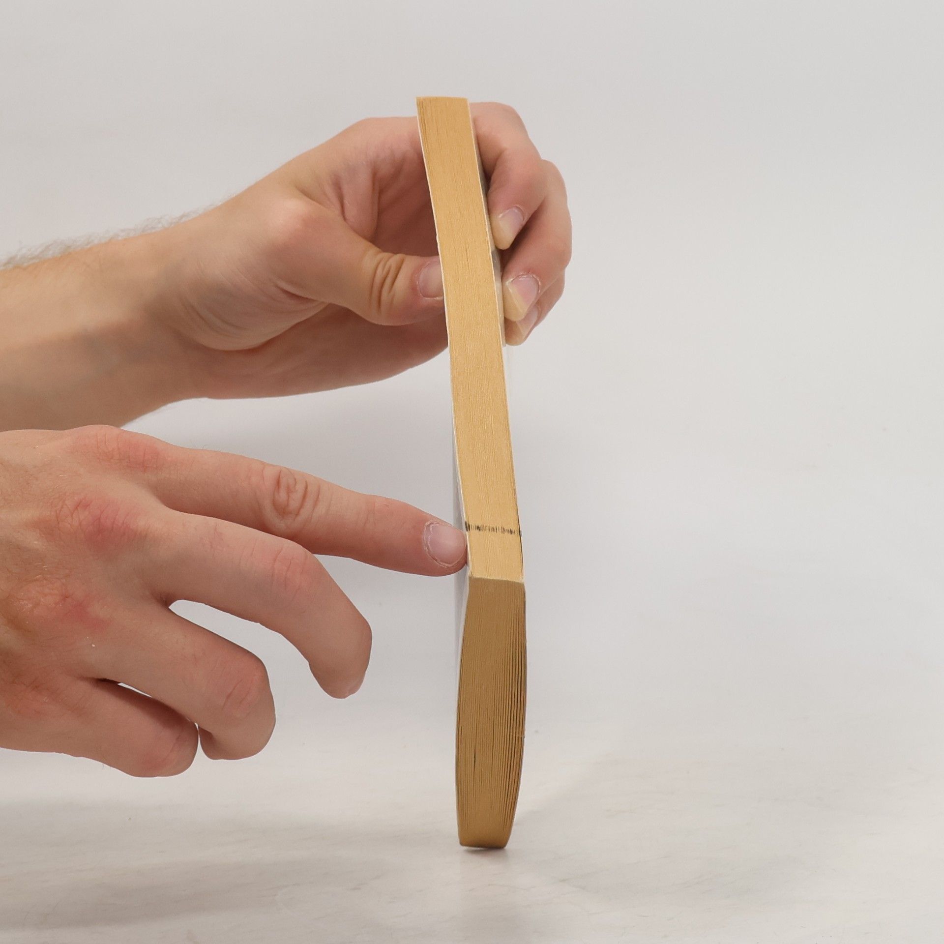 Collectif d'auteurs Die schönsten Katzengeschichten der Welt