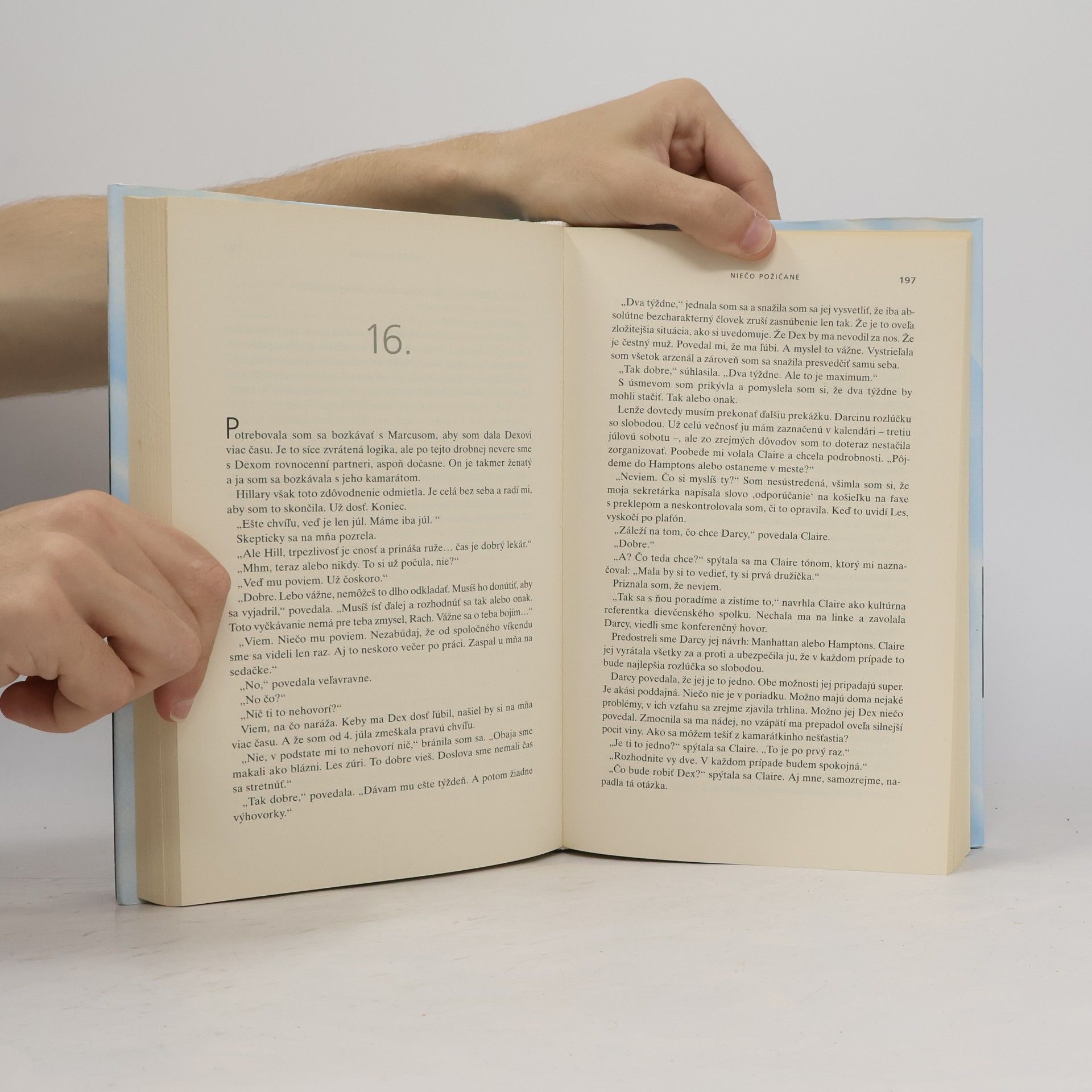 Emily Giffin Niečo požičané