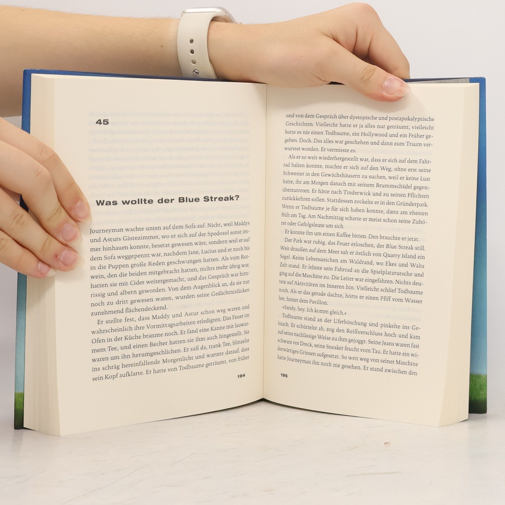 Jonathan Lethem Der Stillstand