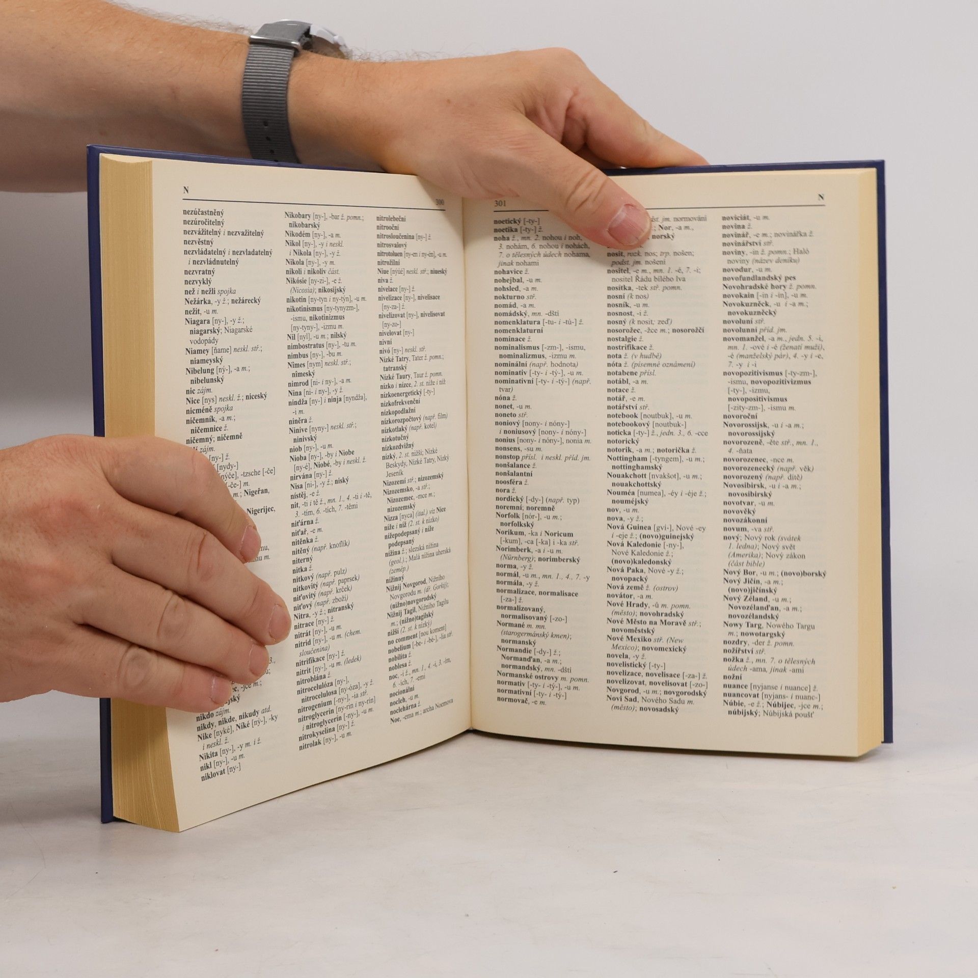Autorenkollektiv Pravidla českého pravopisu s výkladem mluvnice