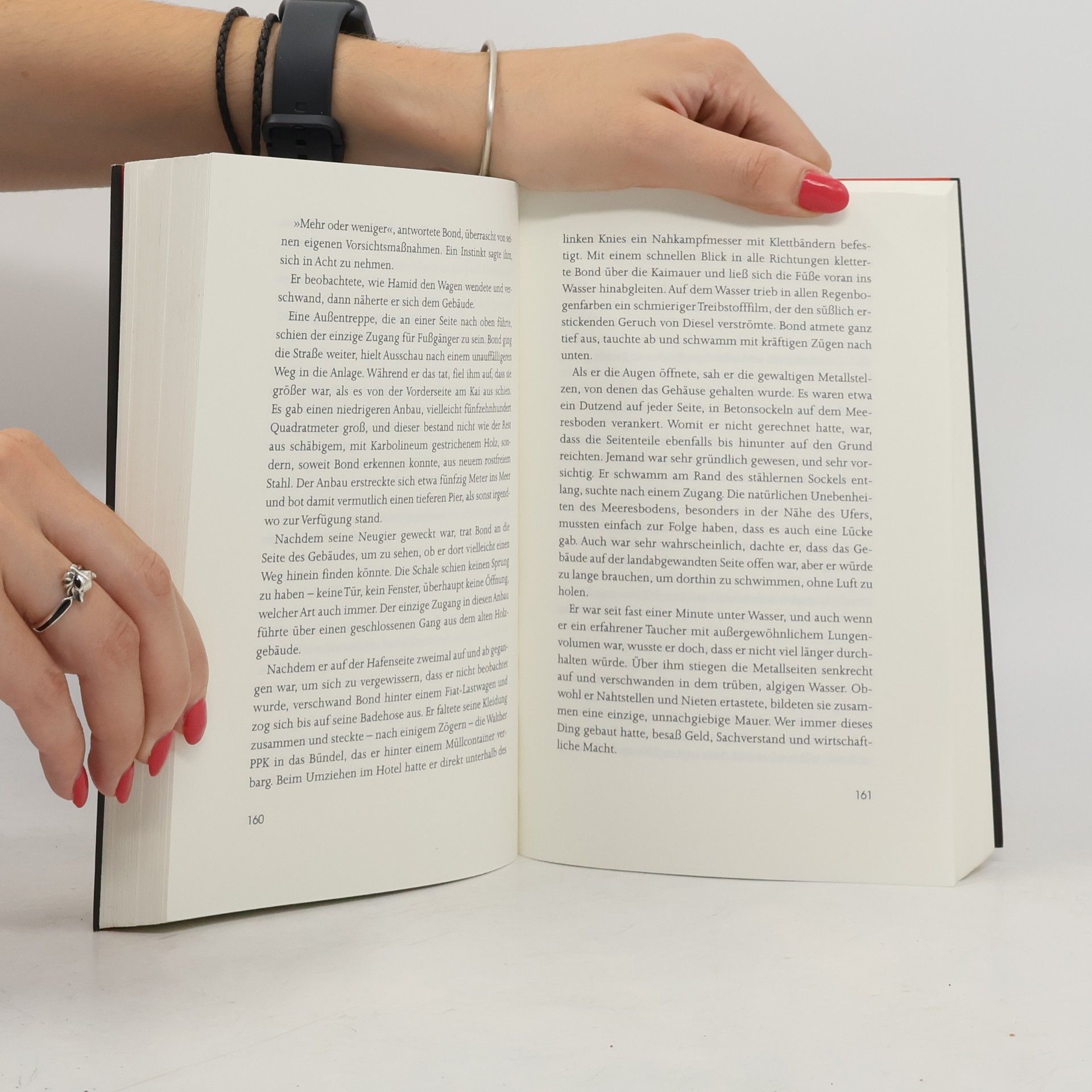 Sebastian Faulks Der Tod ist nur der Anfang