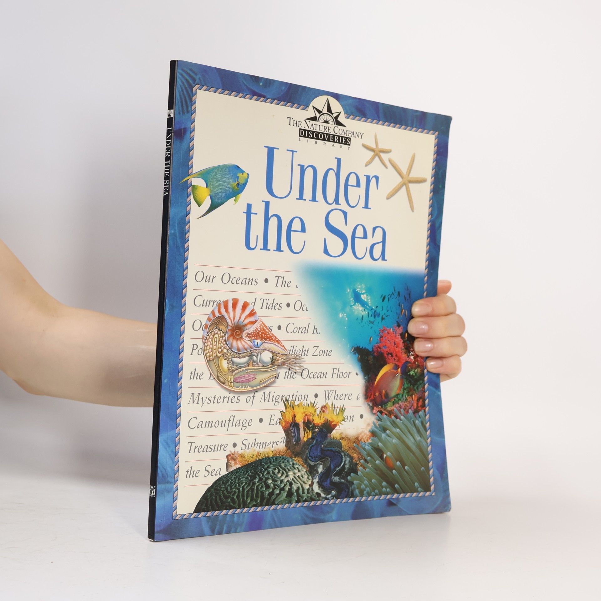 Under the Sea