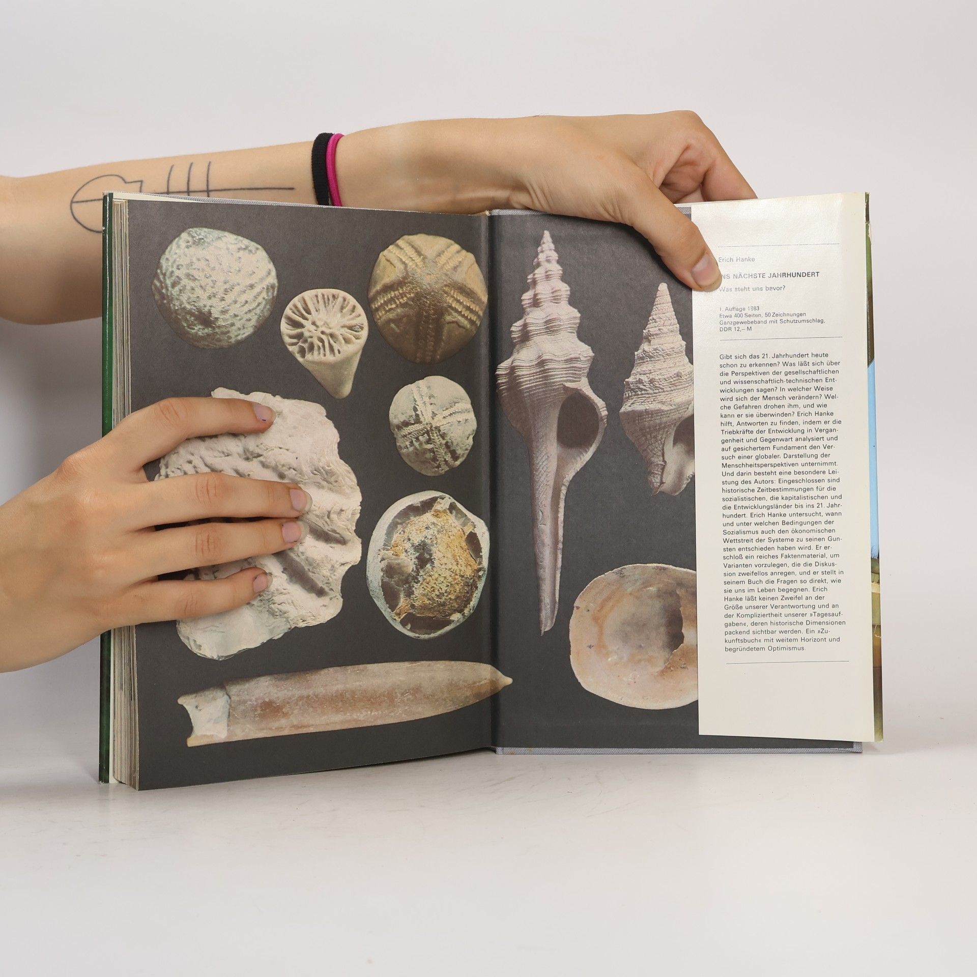 Autorenkollektiv Urania Universum 29