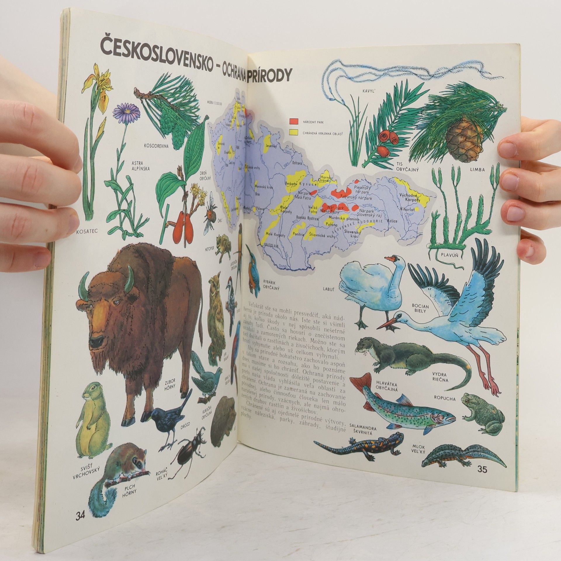 Collectif d'auteurs Svet a človek : Atlas pre deti