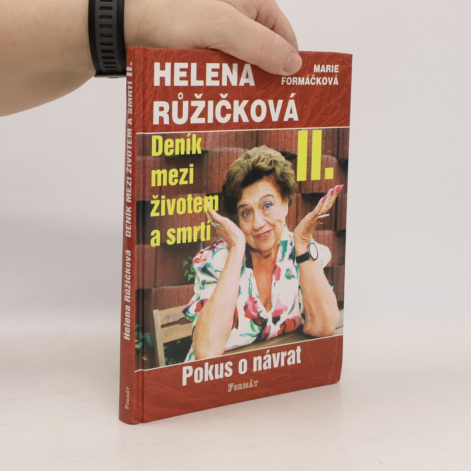 Helena Růžičková Deník mezi životem a smrtí. II., Pokus o návrat