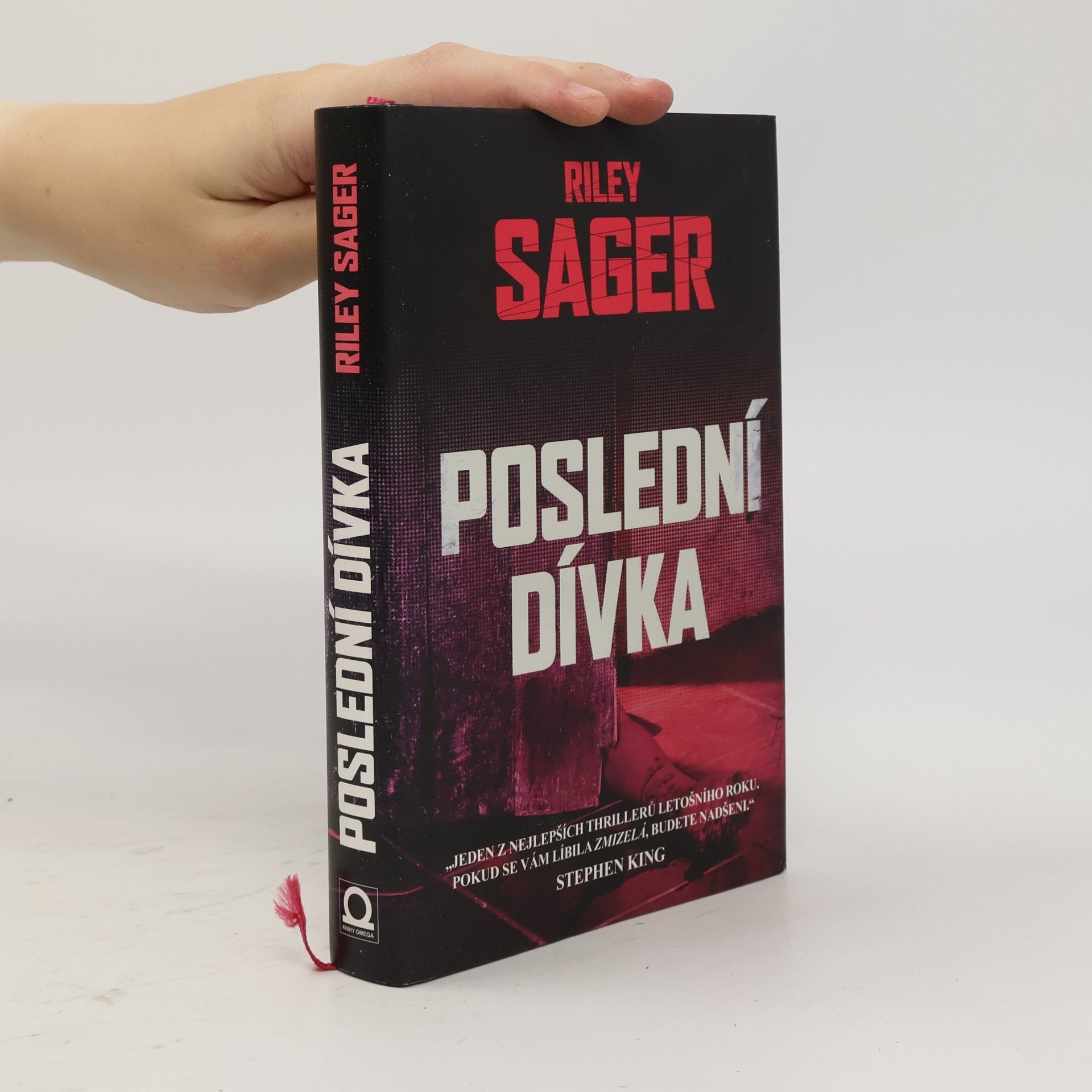 Todd Ritter Poslední dívka