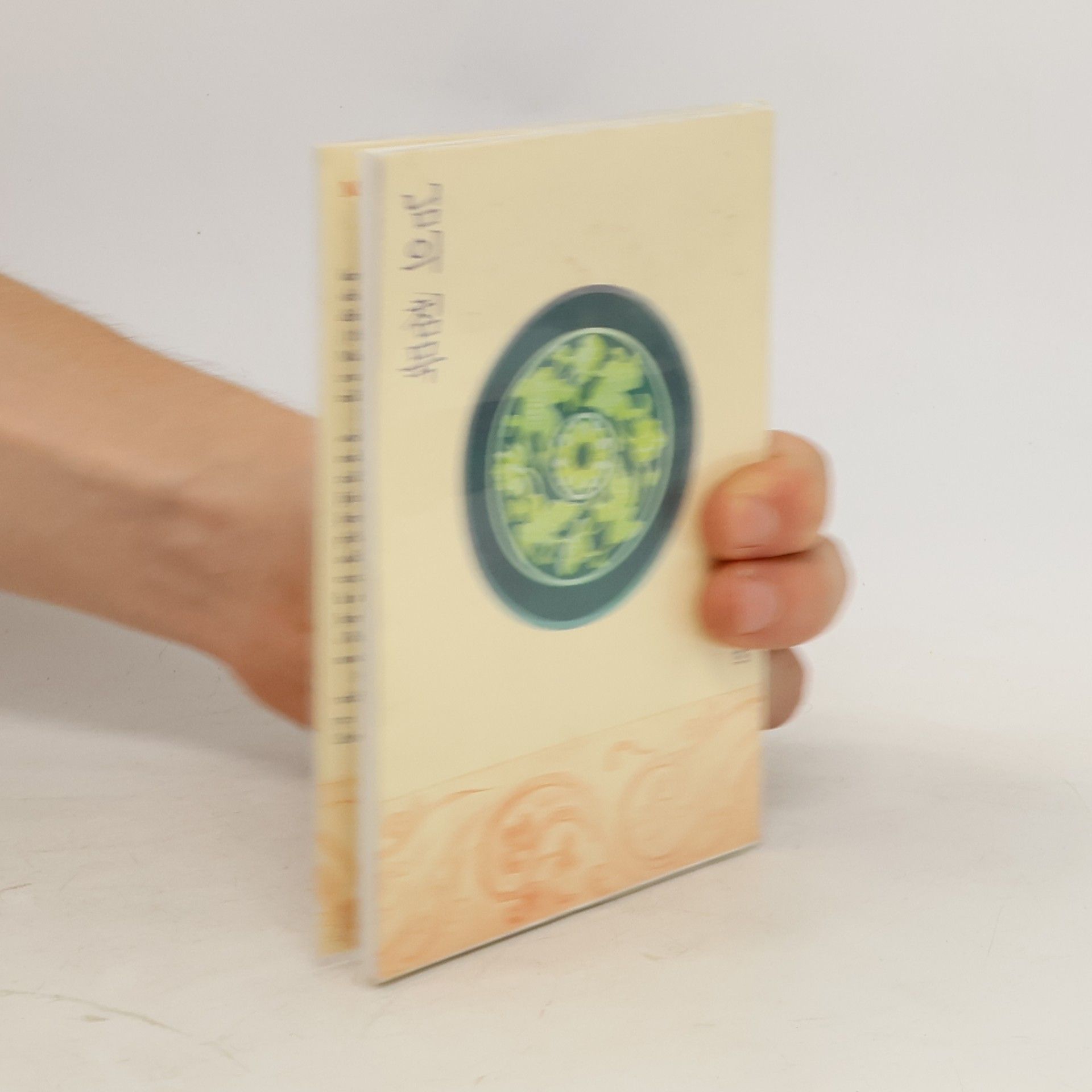 Manhe Han Jong un Tvoje mlčení. Výbor z milostné poezie korejského buddhistického mnicha