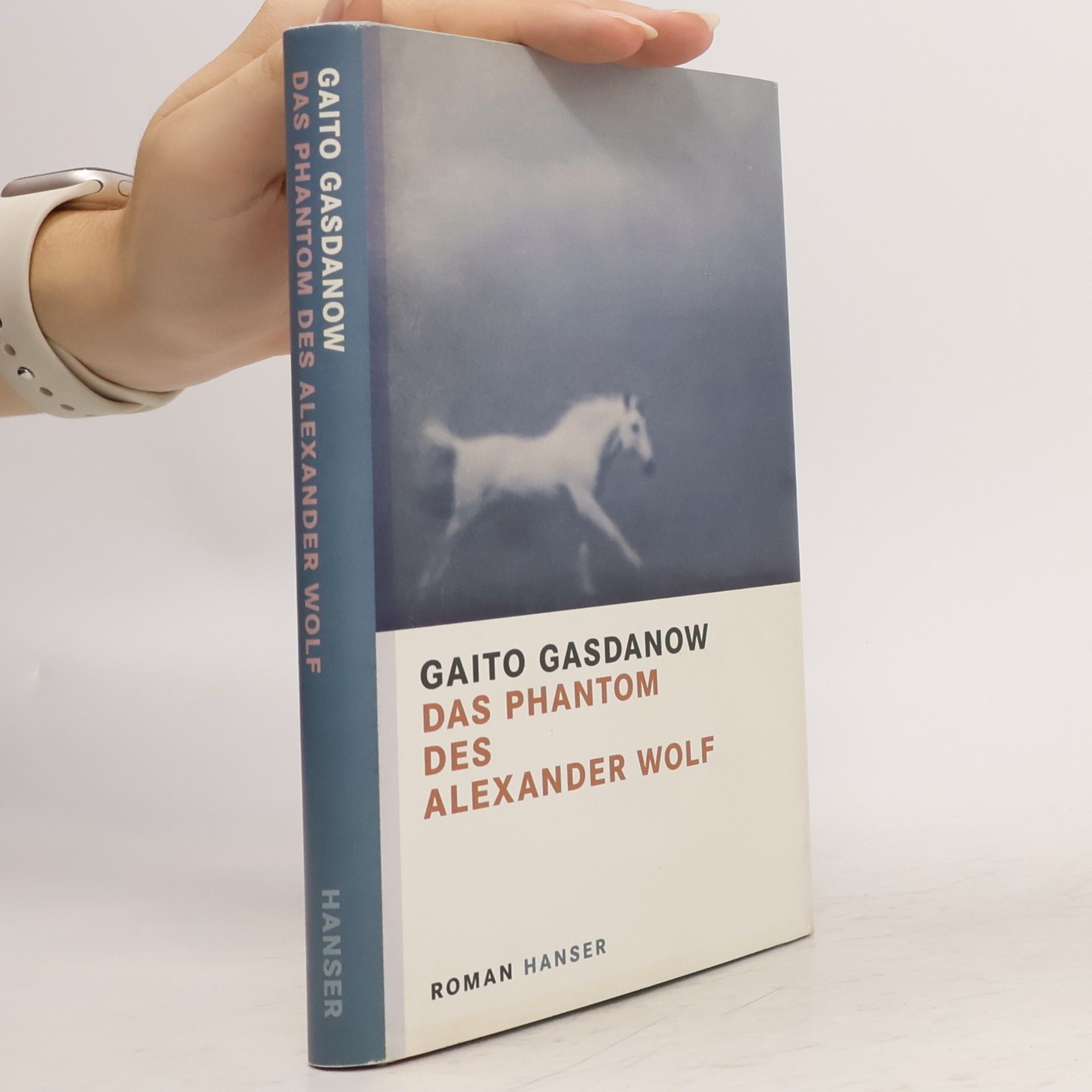 Gaito Gazdanov Das Phantom des Alexander Wolf
