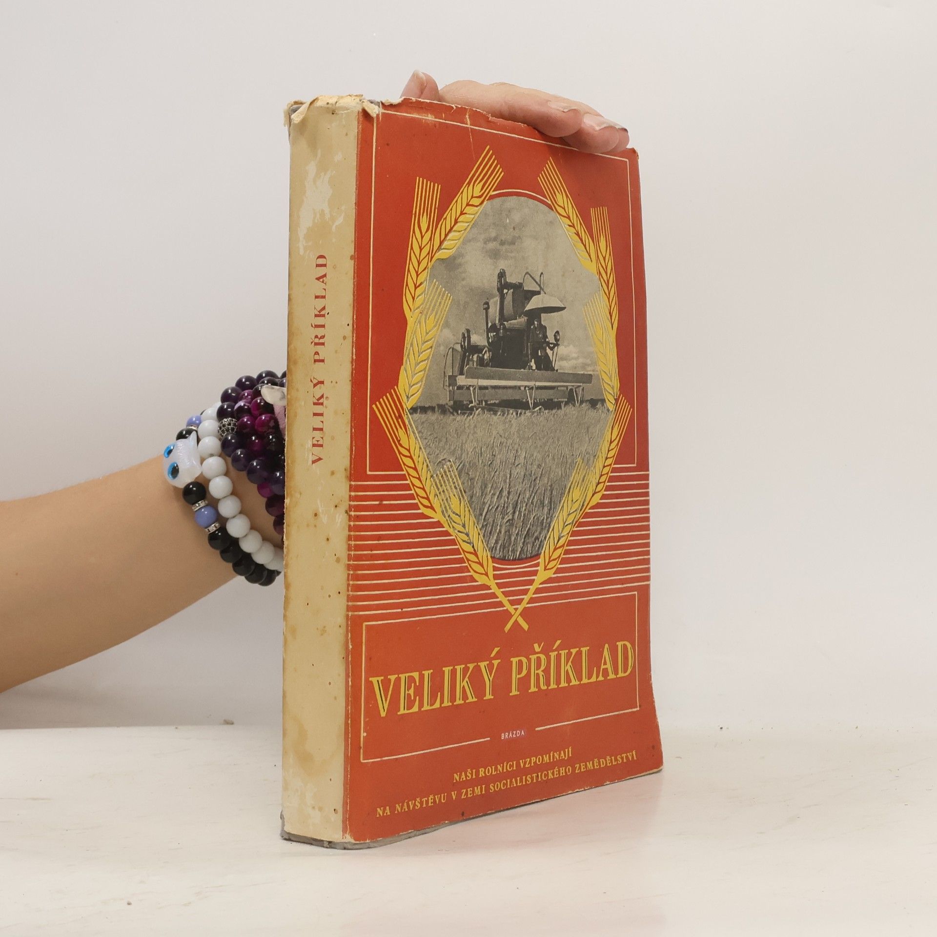 Collectif d'auteurs Velký příklad