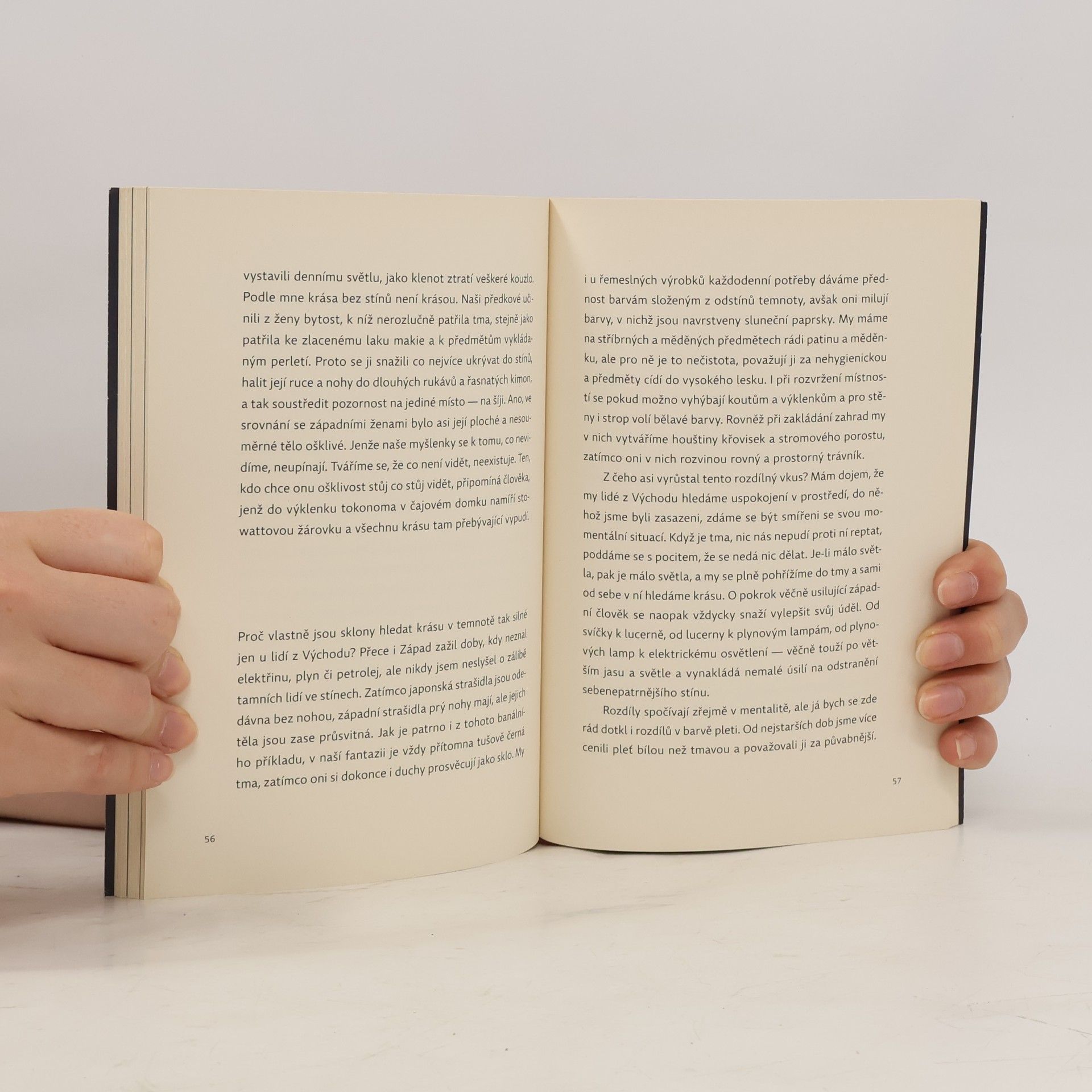 Junichiro Tanizaki Chvála stínů