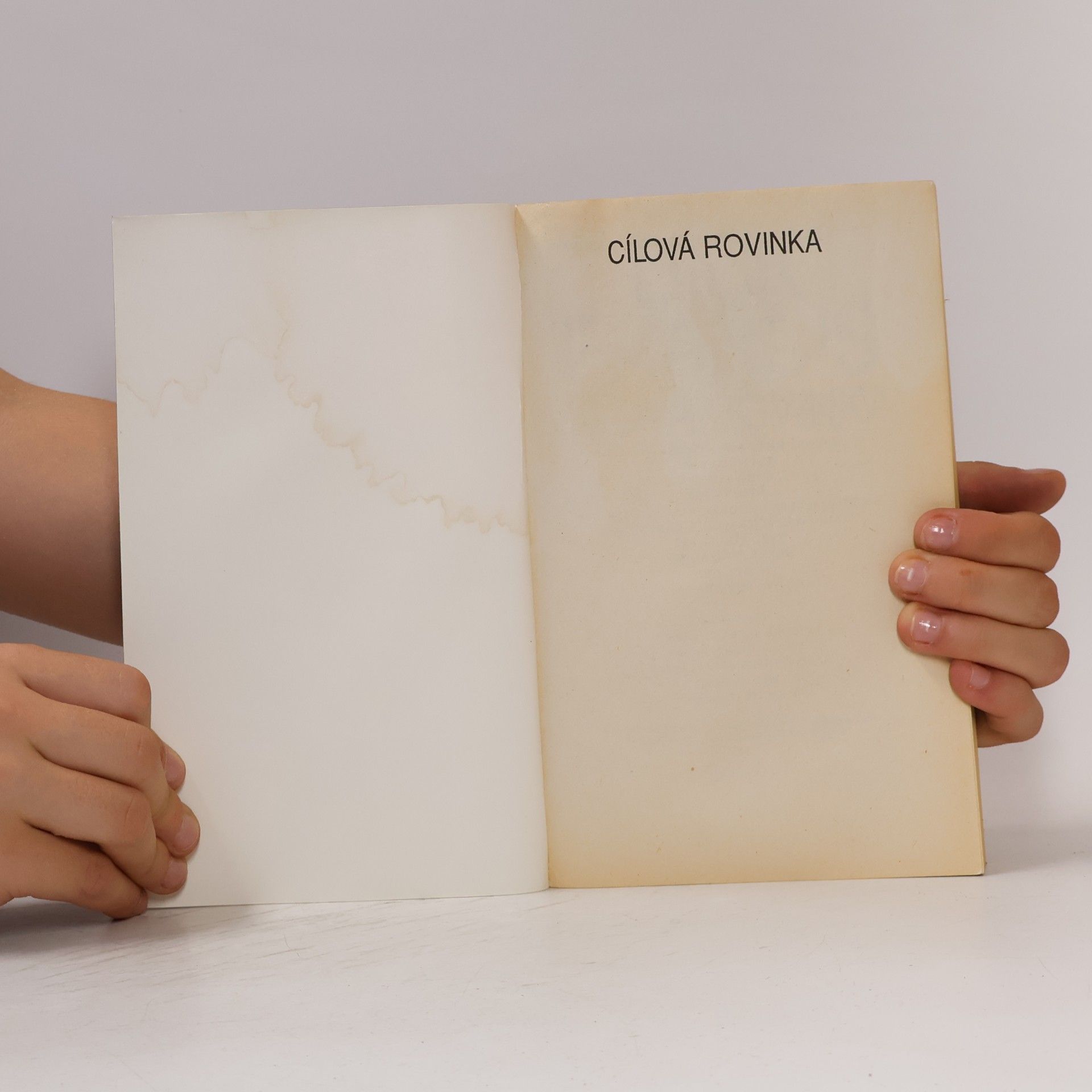 Dick Francis Cílová Rovinka