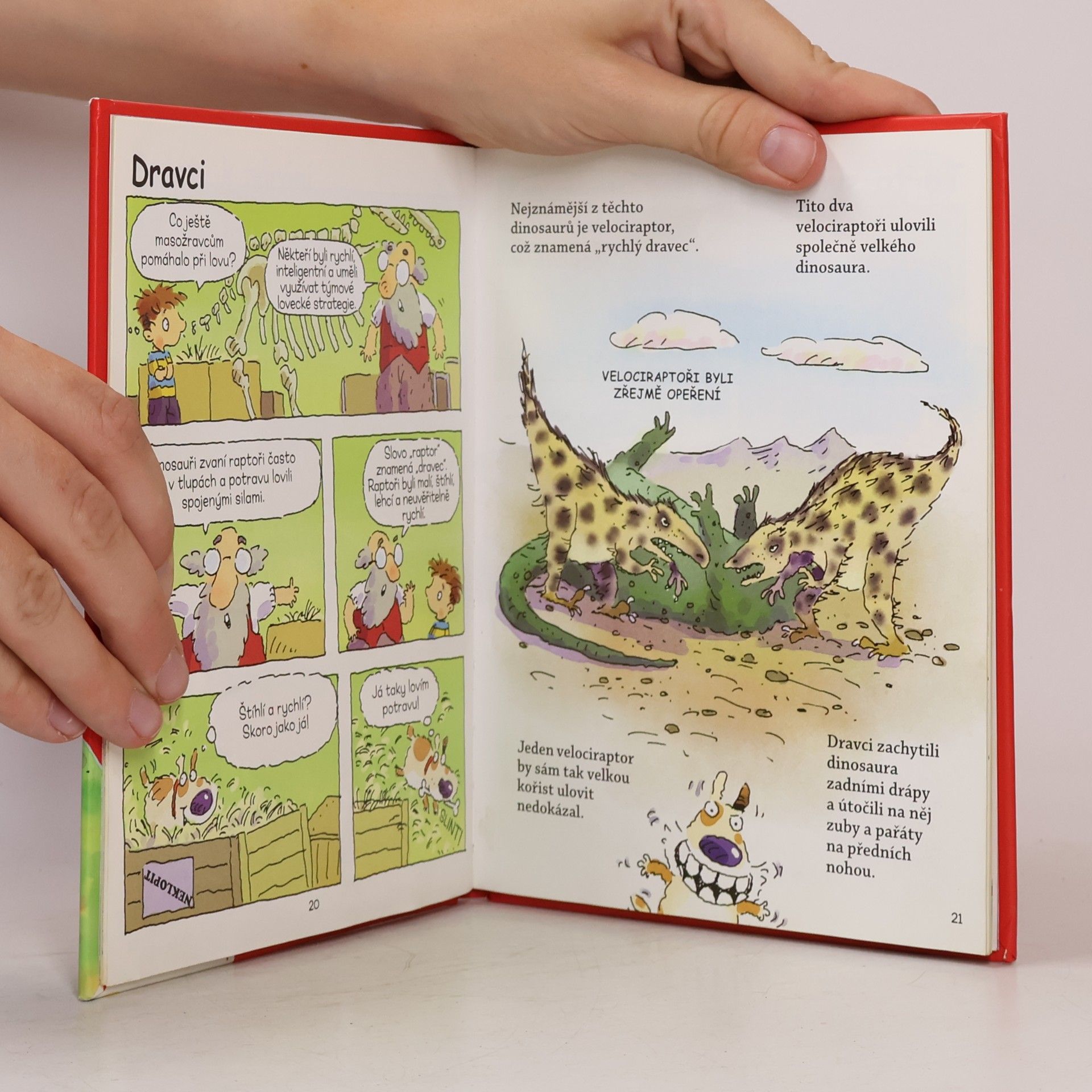 Philip Ardagh Davidův dům - Dinosauři