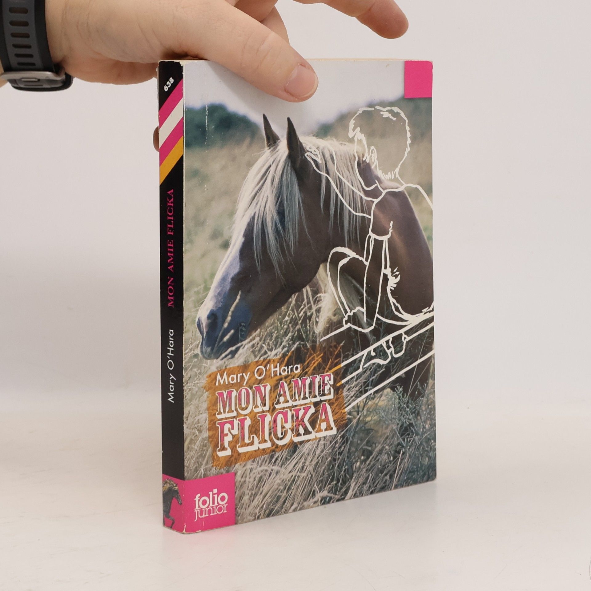 Mary O'Hara Folio junior: Mon amie Flicka