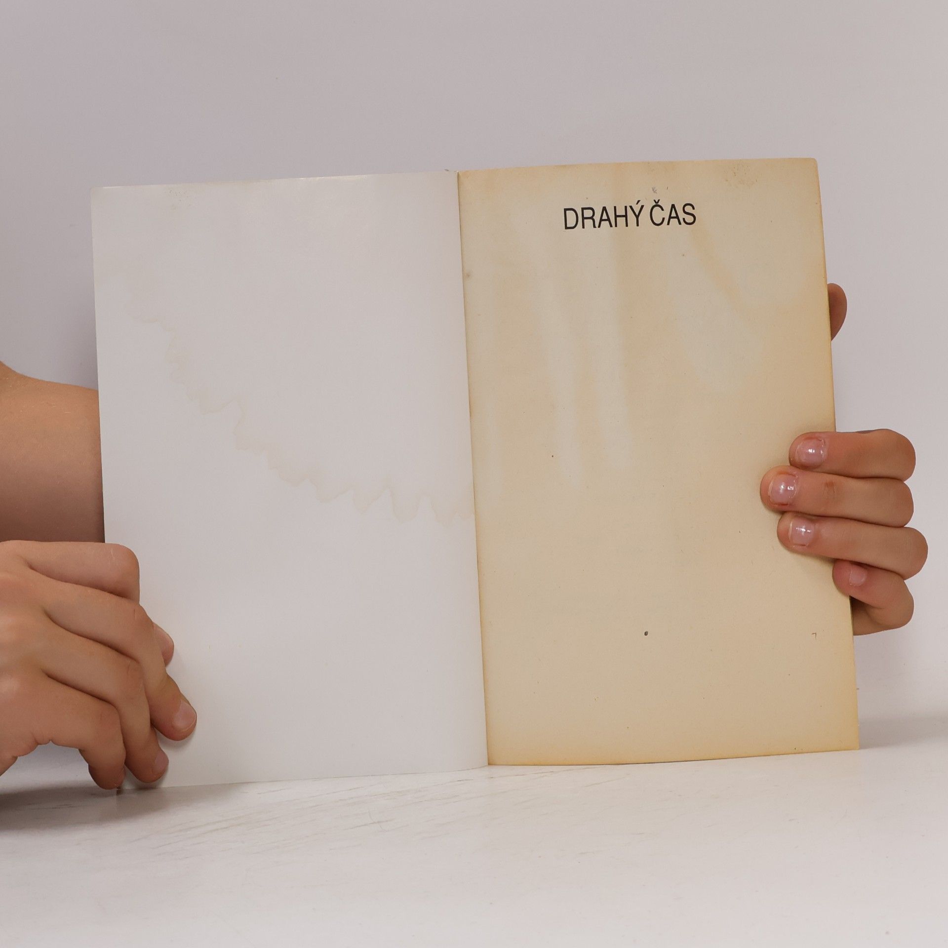 Dick Francis Drahý čas