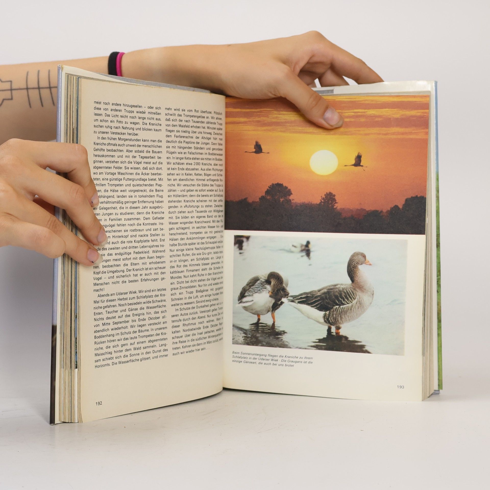 Various authors Urania Universum 27