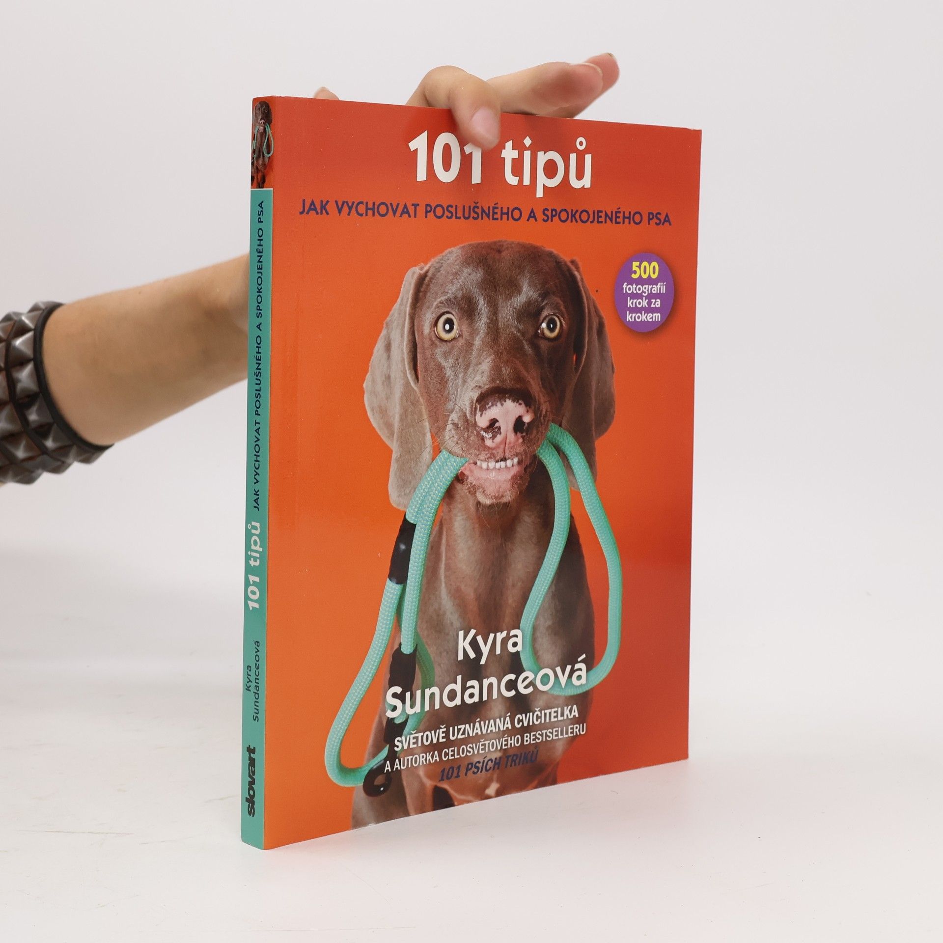 Michael Talián 101 tipů jak vychovat poslušného a spokojeného psa