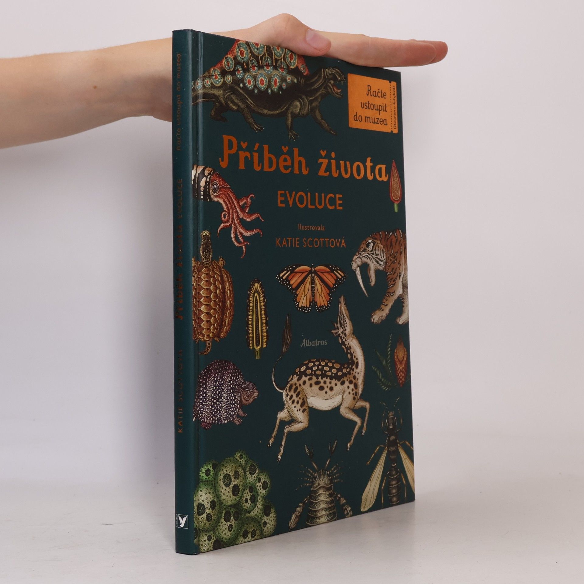 Ruth Symons Příběh života: Evoluce