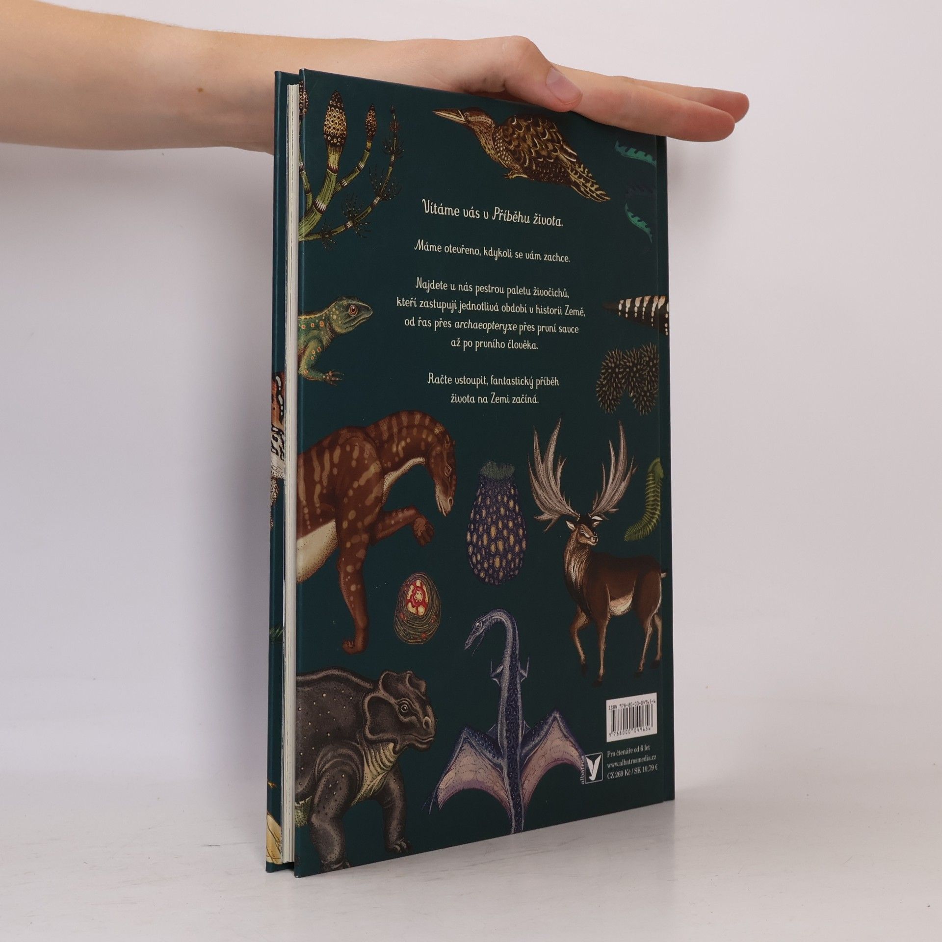 Fiona Munro Příběh života: Evoluce