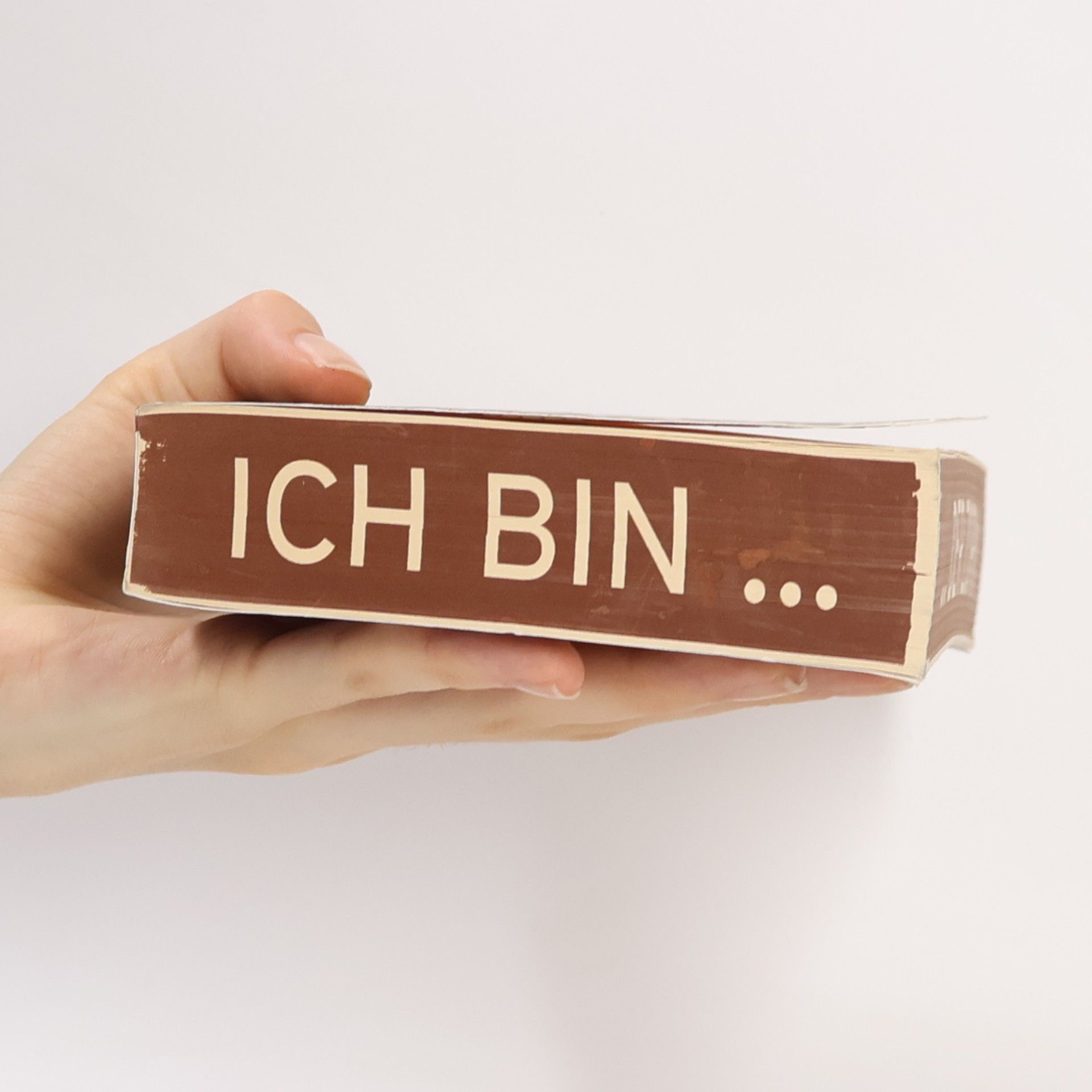 Ethan Cross Ich bin der Zorn