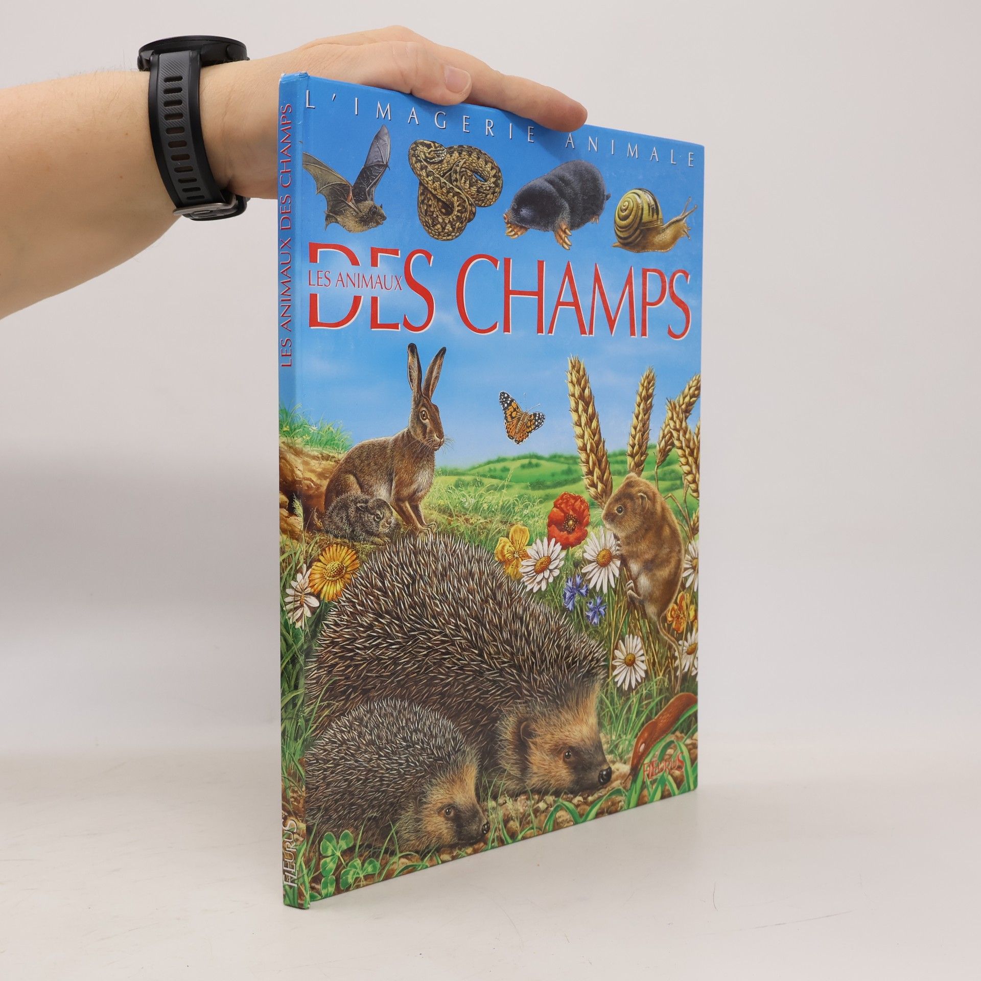 Raphaëlle Chauvelot Les animaux des champs