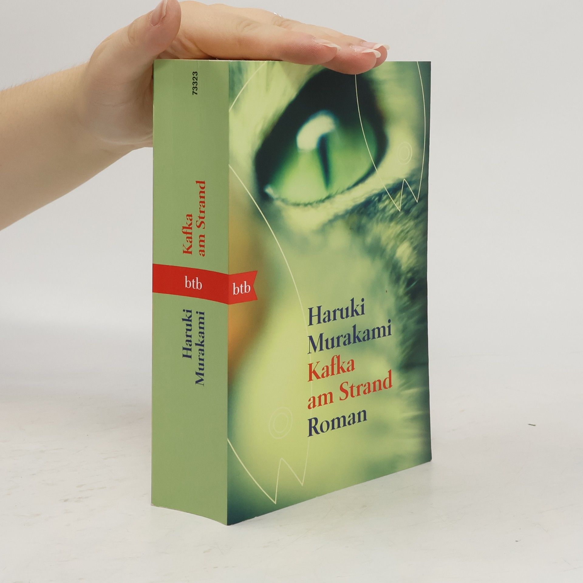 Haruki Murakami Kafka am Strand