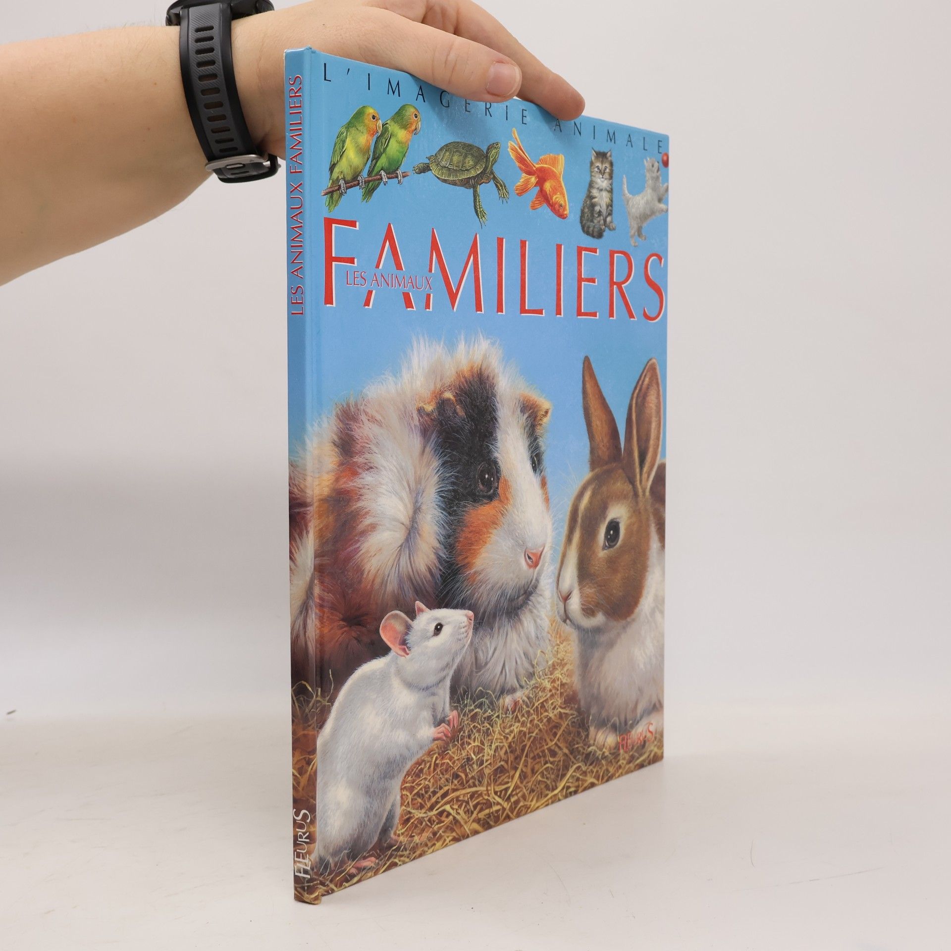 Animaux familiers