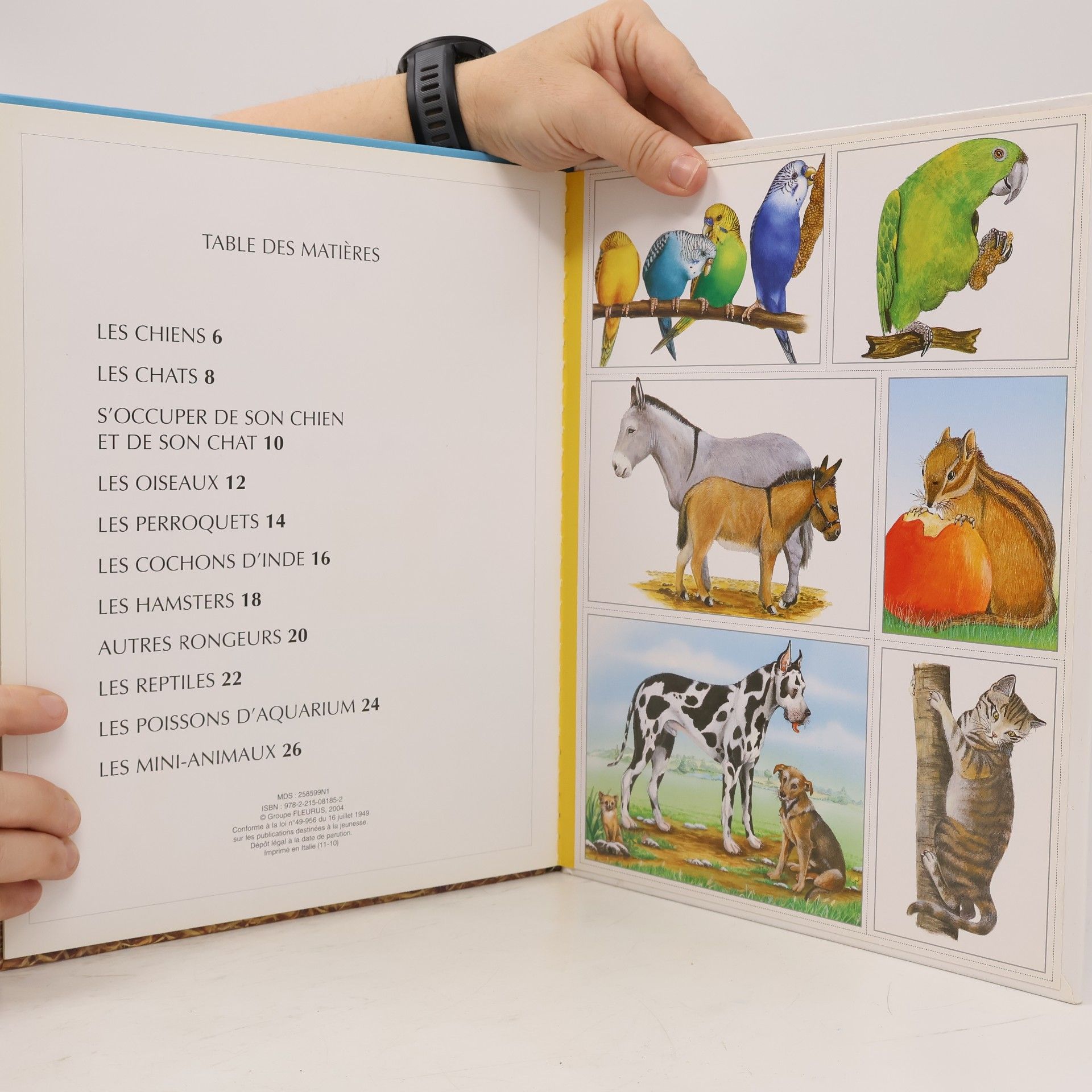 Patricia Reinig Animaux familiers
