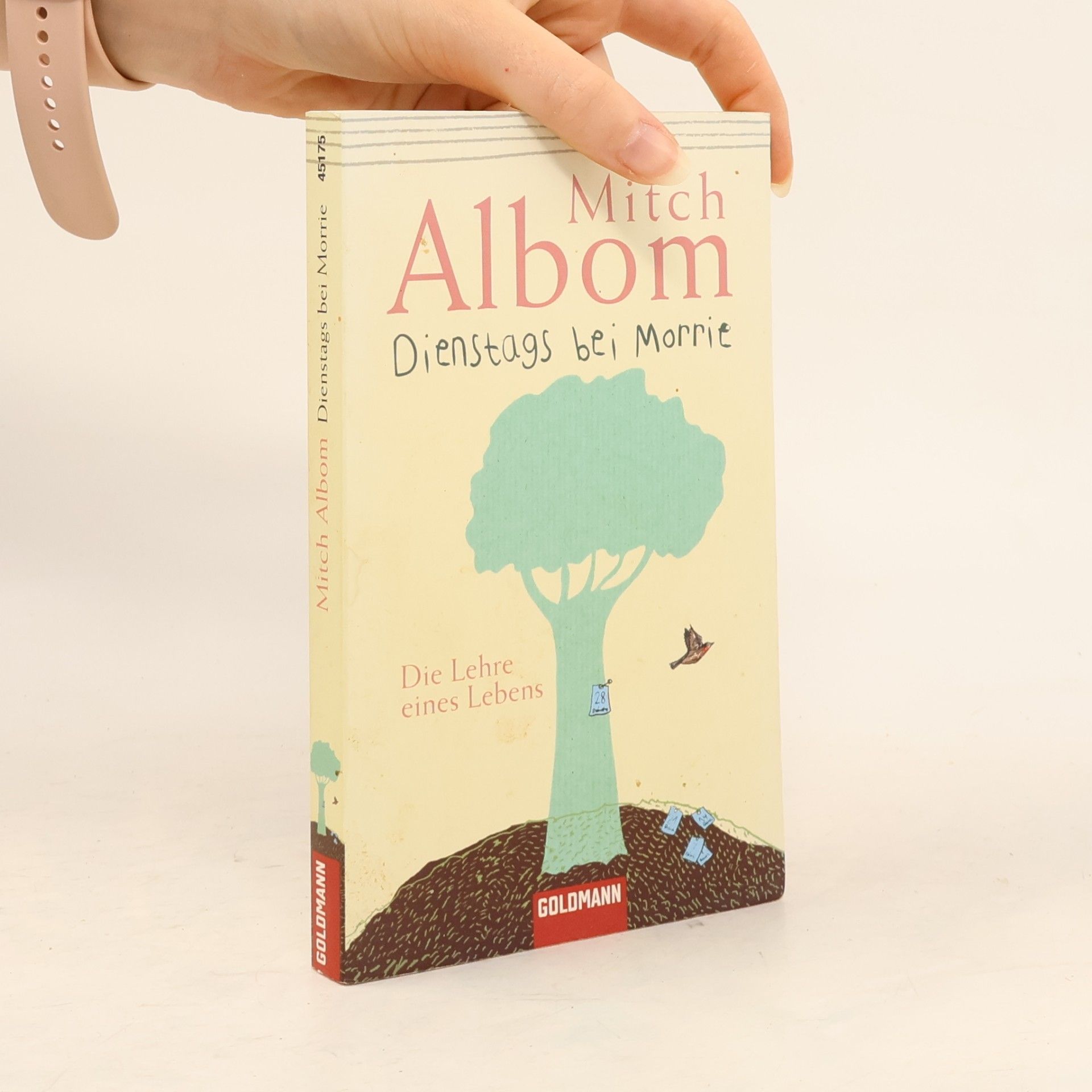 Mitch Albom Dienstags bei Morrie