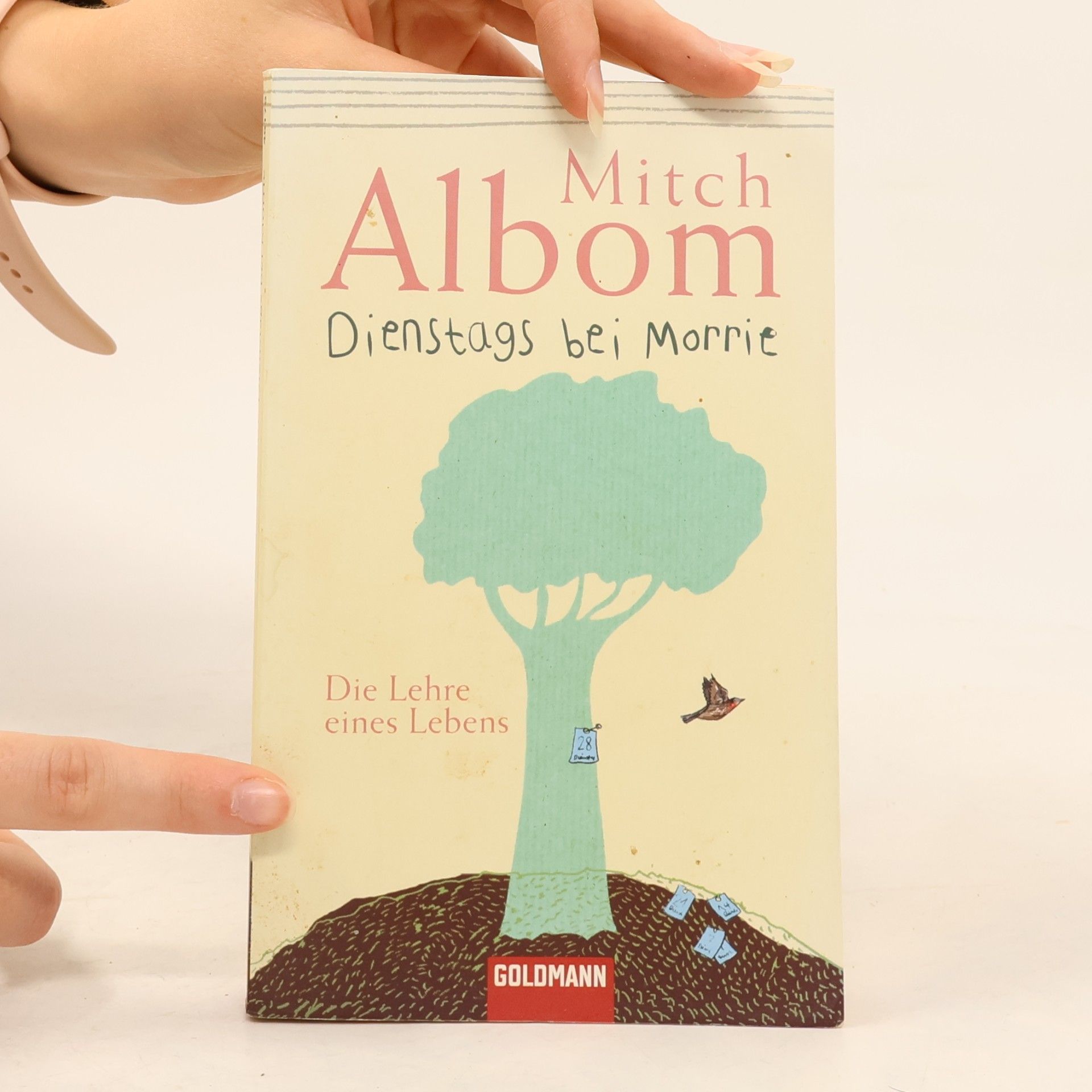 Mitch Albom Dienstags bei Morrie