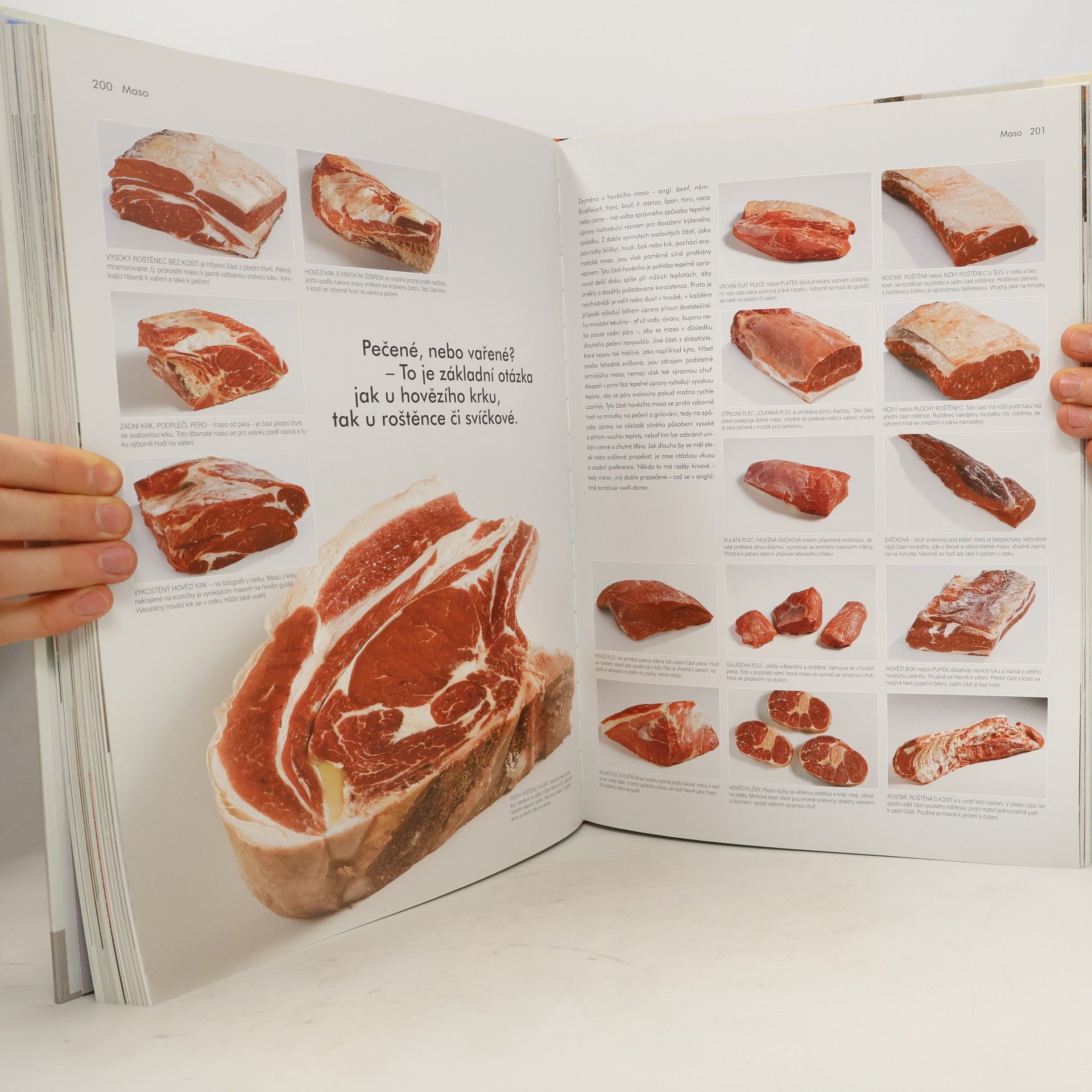 Christian Teubner Food. Bible šéfkuchaře