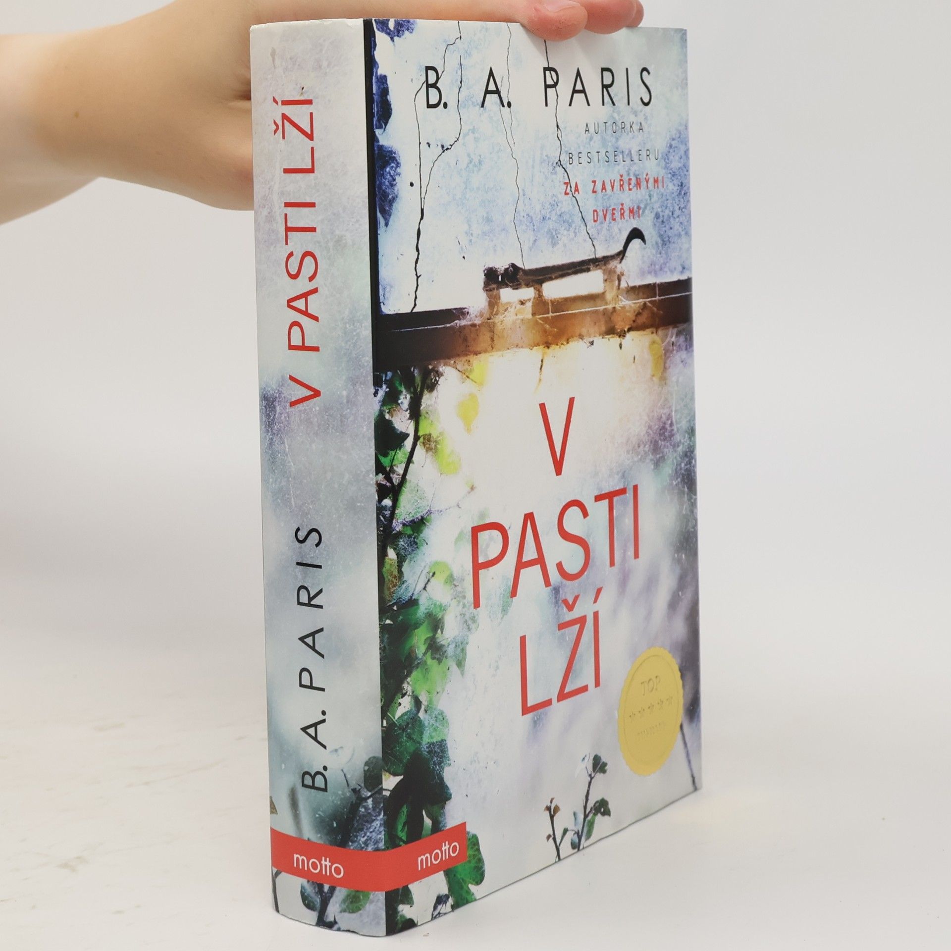 B. A. Paris V pasti lží